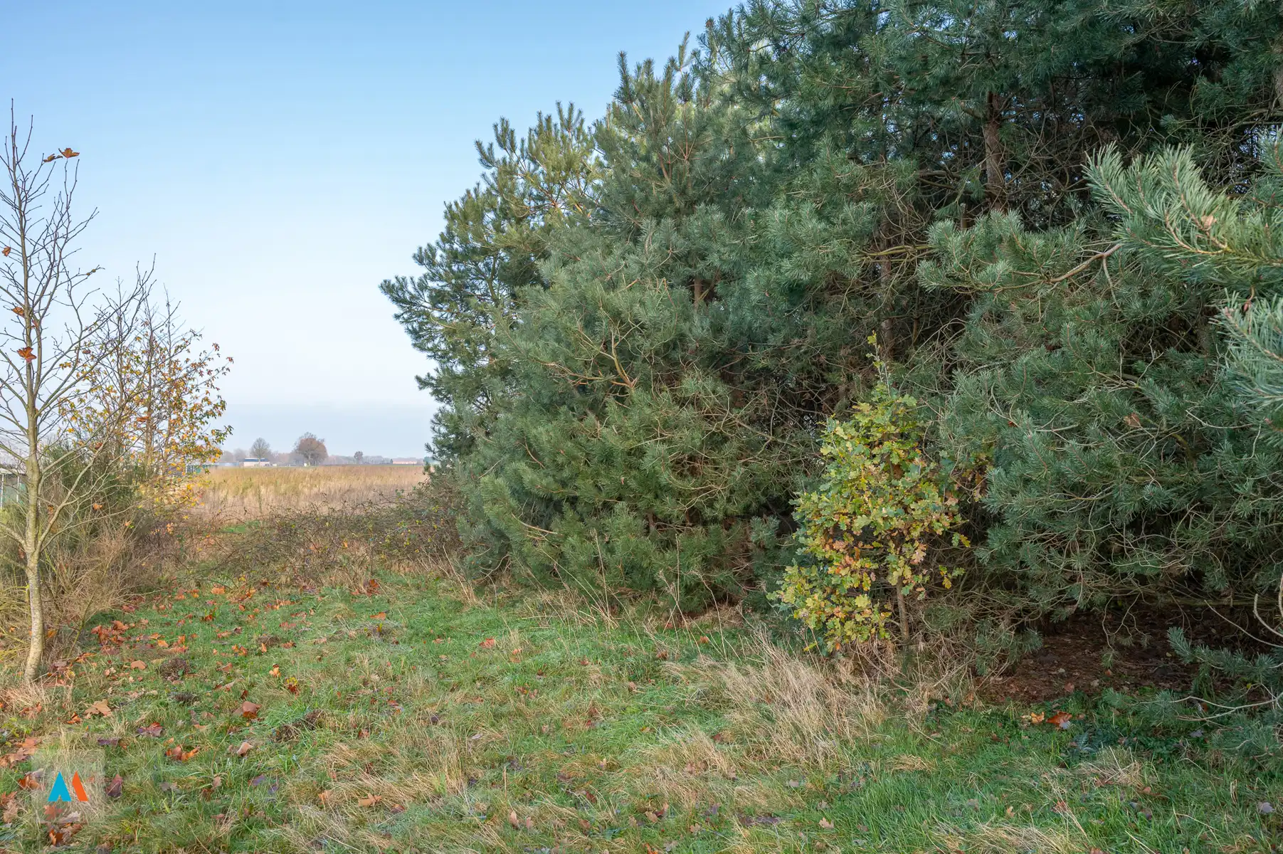 Gemengd perceel Landbouw- en bosgrond foto 3