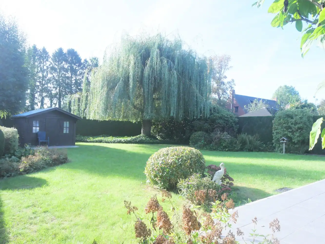 Rustig gelegen woning te Asse foto 3