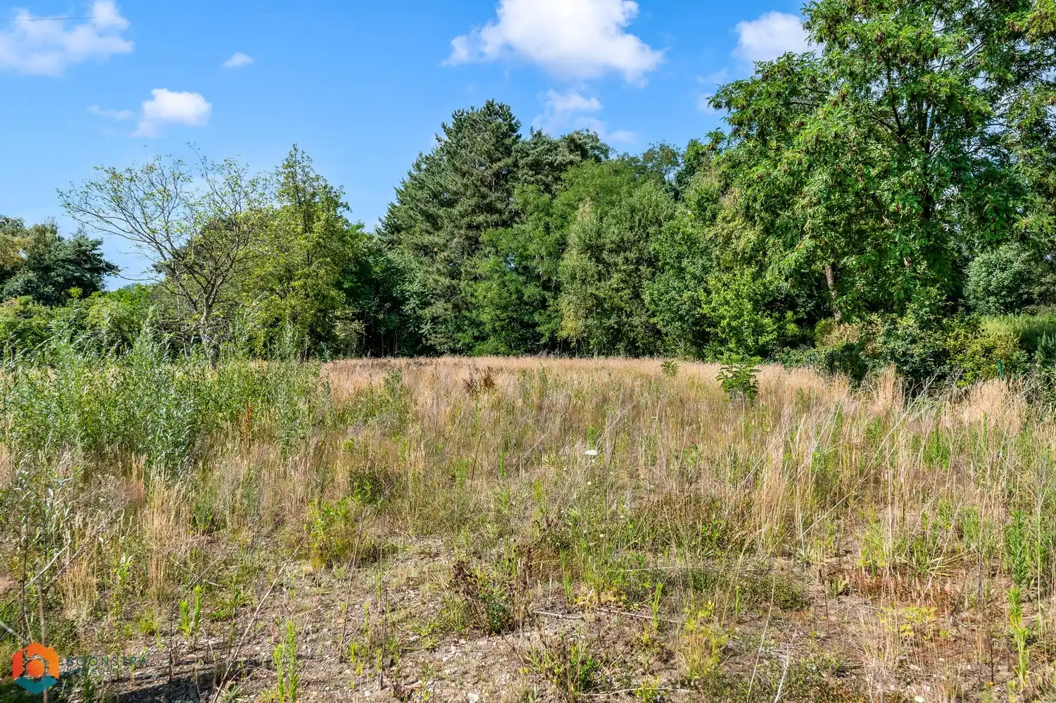 Bouwgrond van 1070 m² voor open bebouwing te Tessenderlo-Ham foto 9