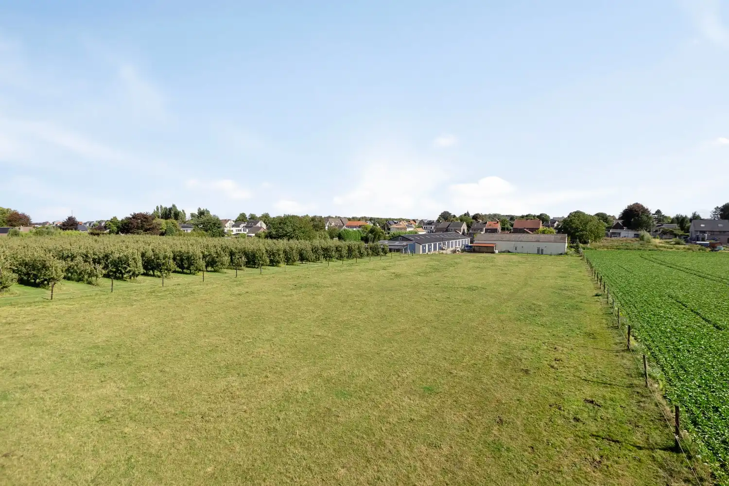 Twee percelen grond met loodsen te koop – Strategisch gelegen langs de Maastrichtersteenweg in Riemst foto 7