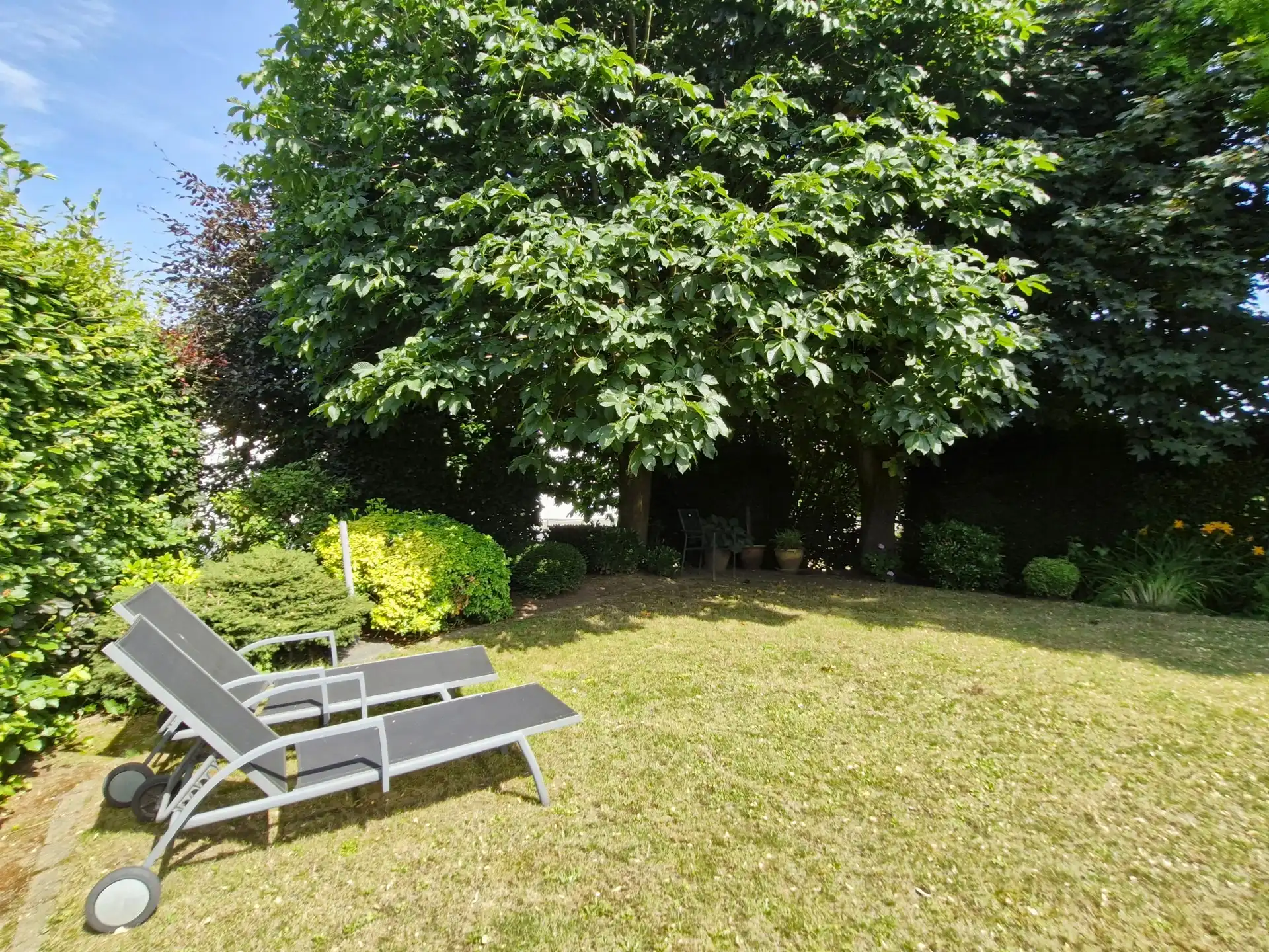 Huis te koop foto 26