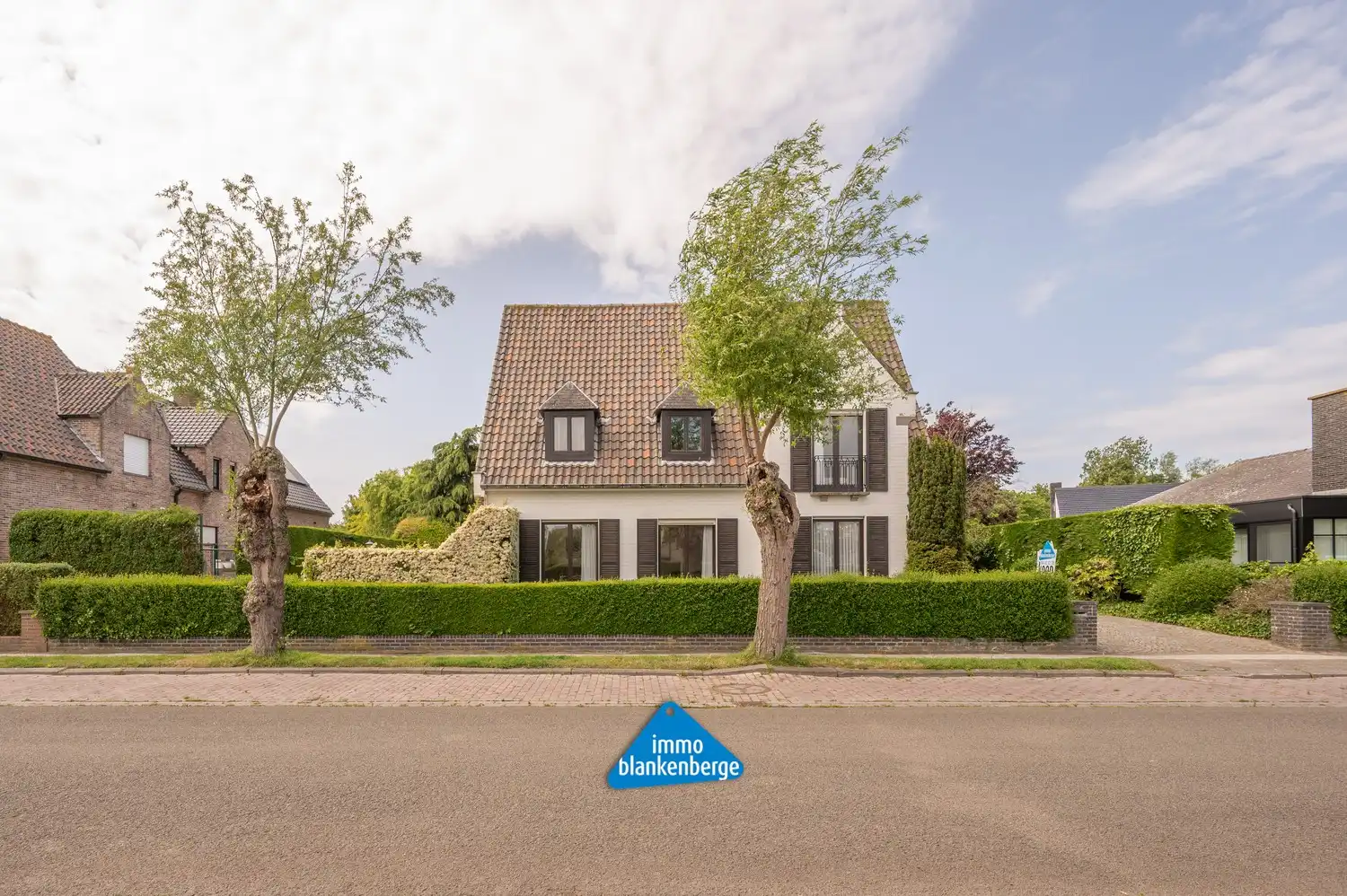Exclusieve villa in een gegeerde residentiële wijk foto 2