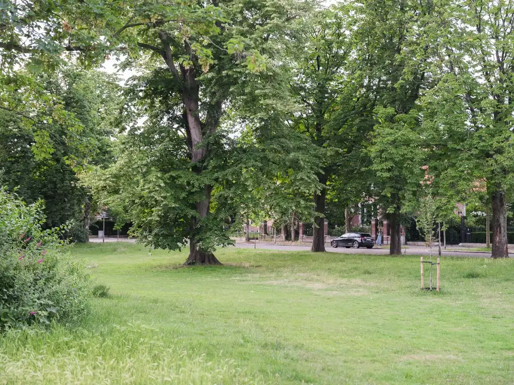Karaktervolle burgerwoning (225 m²) met romantische tuin, gelegen in de gegeerde stationsbuurt foto 25