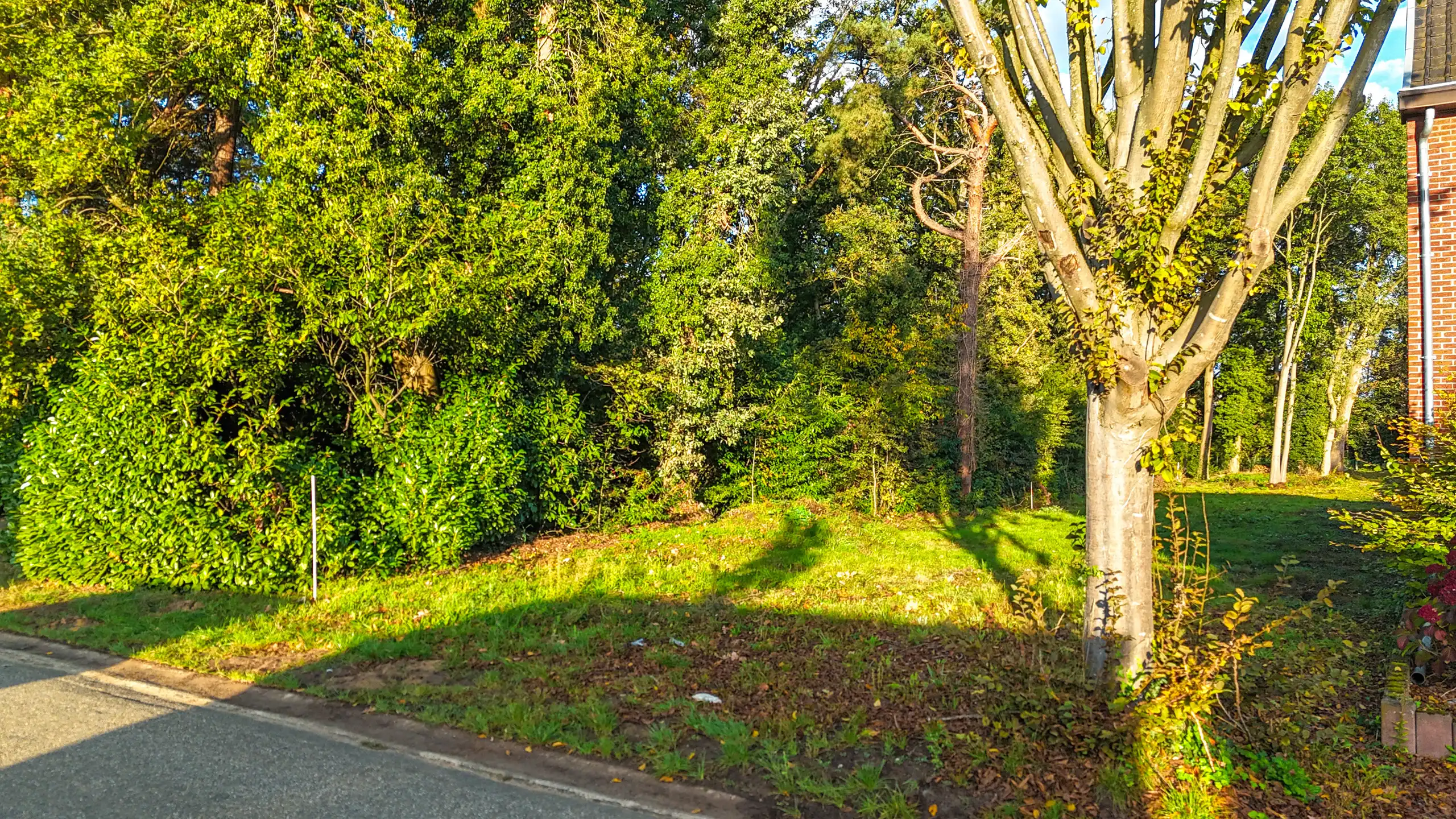 Bouwgrond voor HOB met vergunde plannen in Heusden-Zolder! foto 3