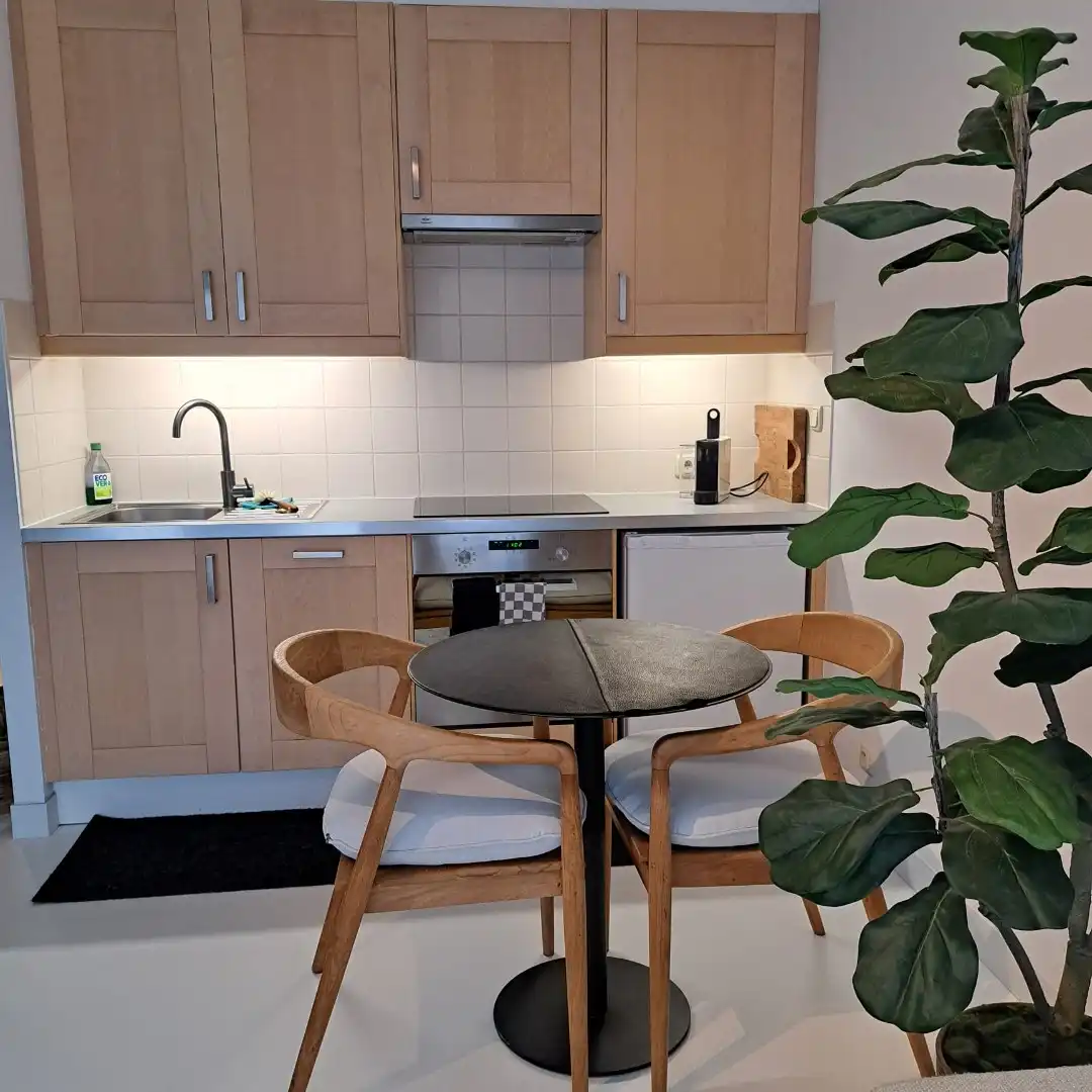 Goed gelegen en gerennoveerd studio te Nieuwpoort-bad! foto 4