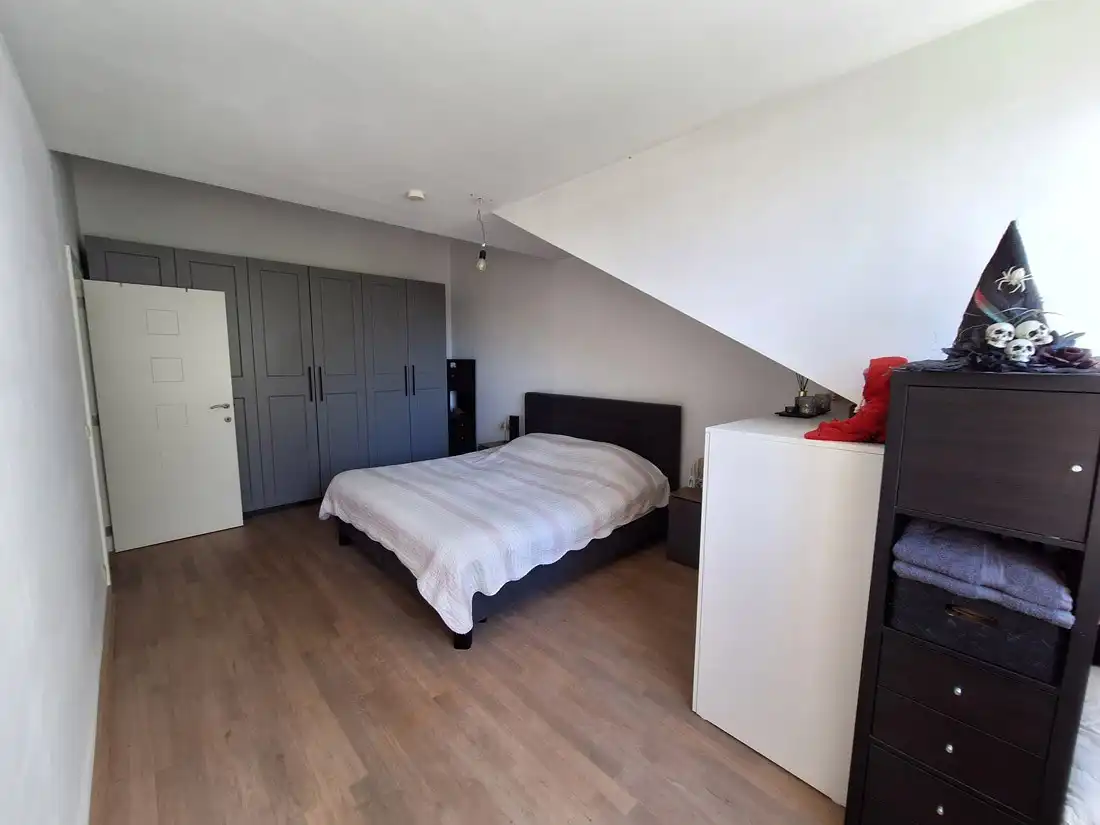 Penthouse aan de Beringse stadsrand foto 14