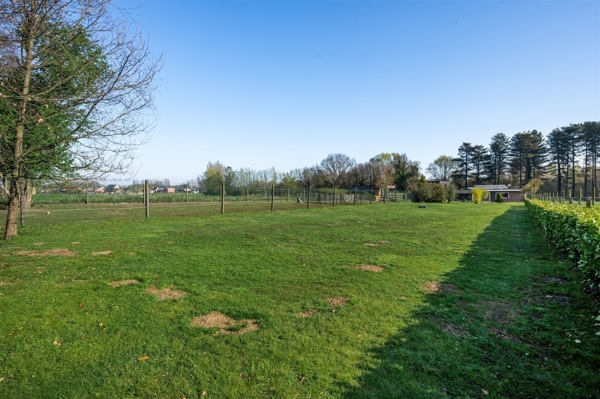 Rustig gelegen gelijkvloers-woning te Koningshooikt foto 15