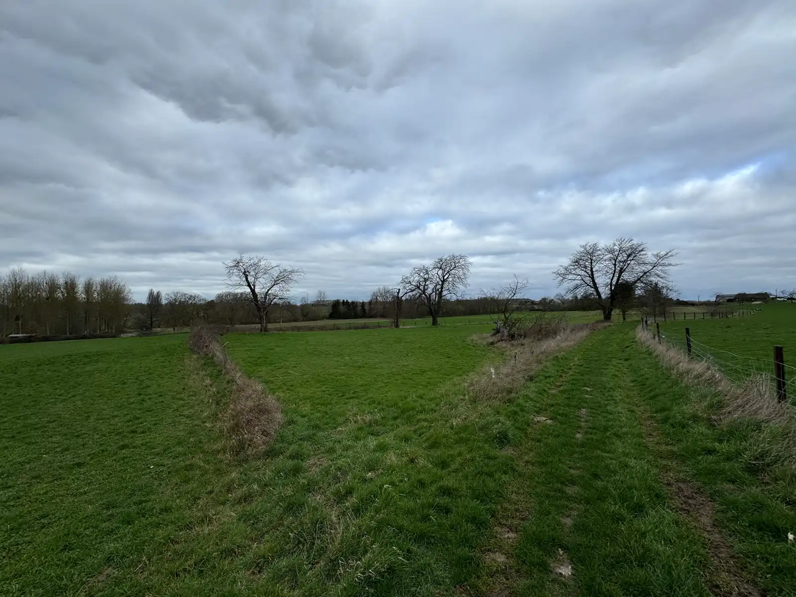 Perceel landbouwgrond van 62a 32ca foto 5