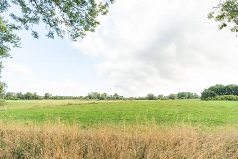 Landbouwgrond 54395 m² - vrij van pacht eind 2027 !!! foto 11