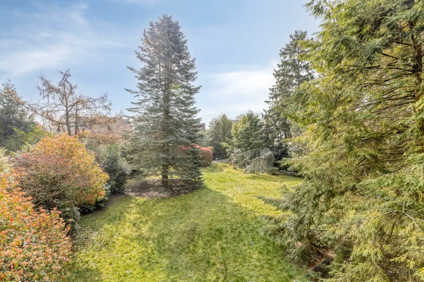 Projectgrond met woning te koop in Schoot, Tessenderlo foto 13