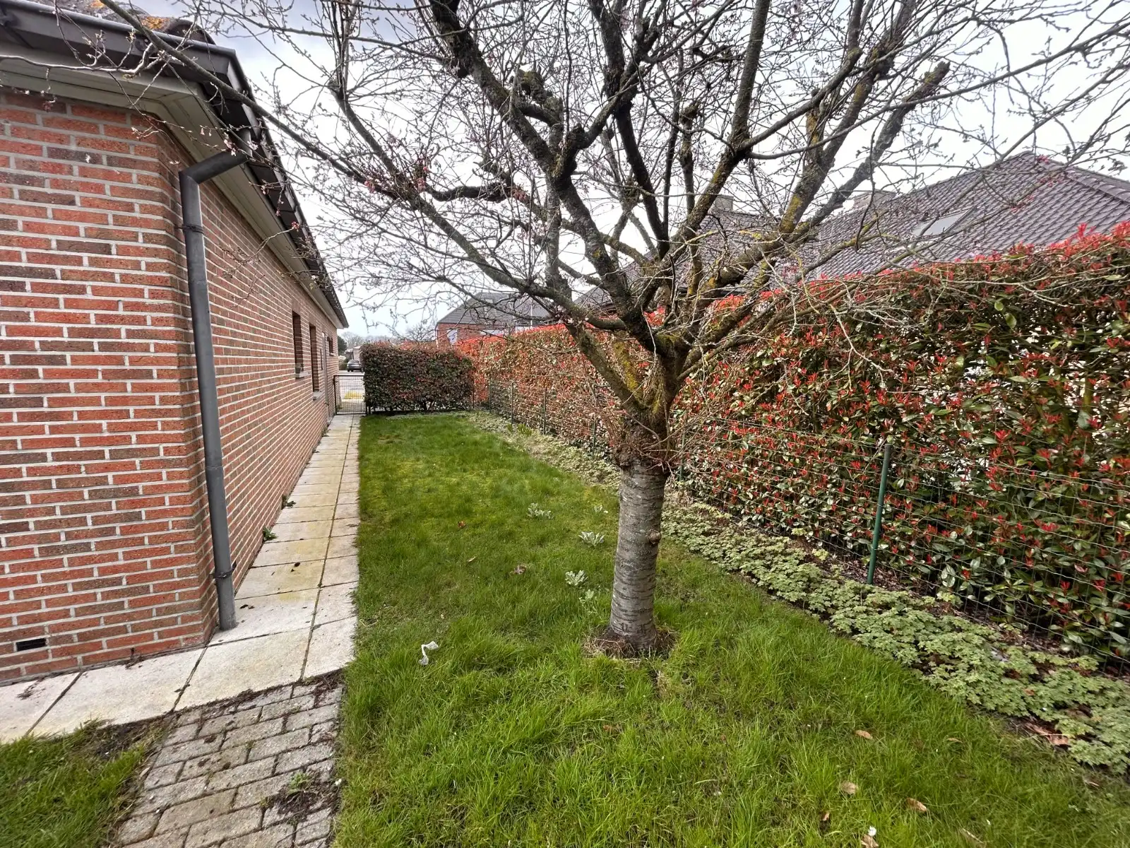 Instapklare woning nabij centrum Deinze foto 15