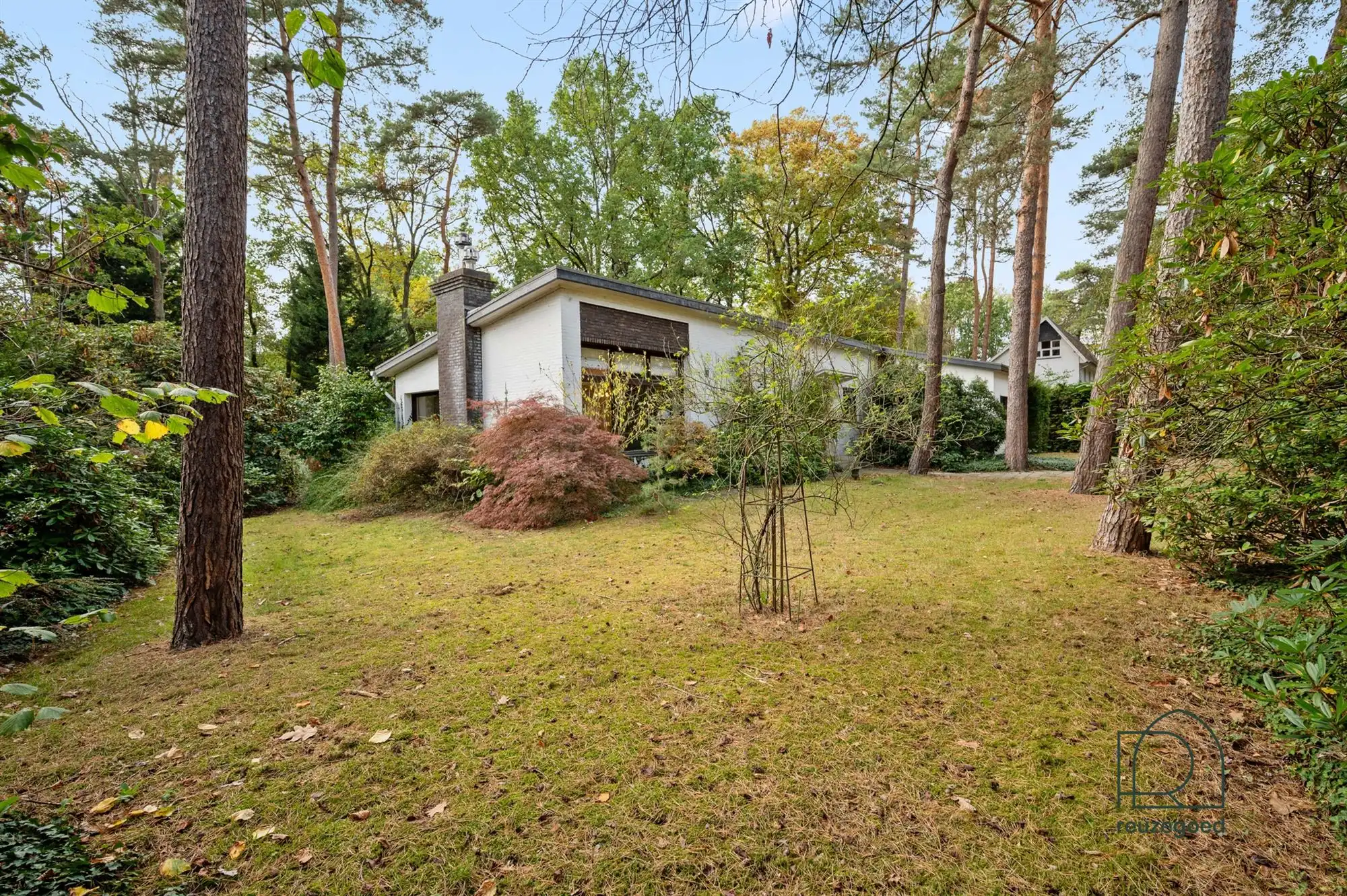 Unieke bungalow (4 slaapkamers) in het groen van Bonheiden  foto 18