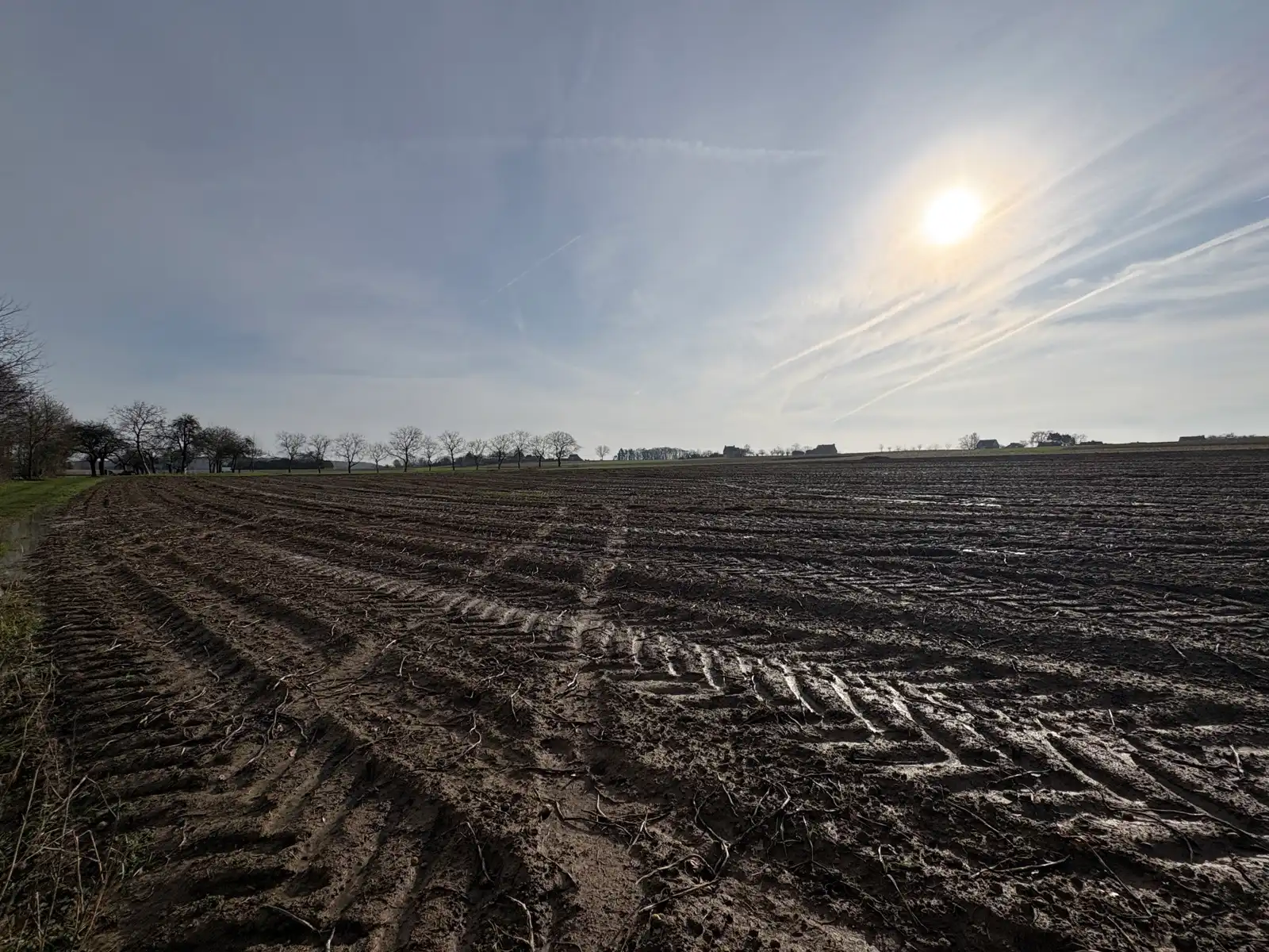 Grote landbouwgrond  foto 3