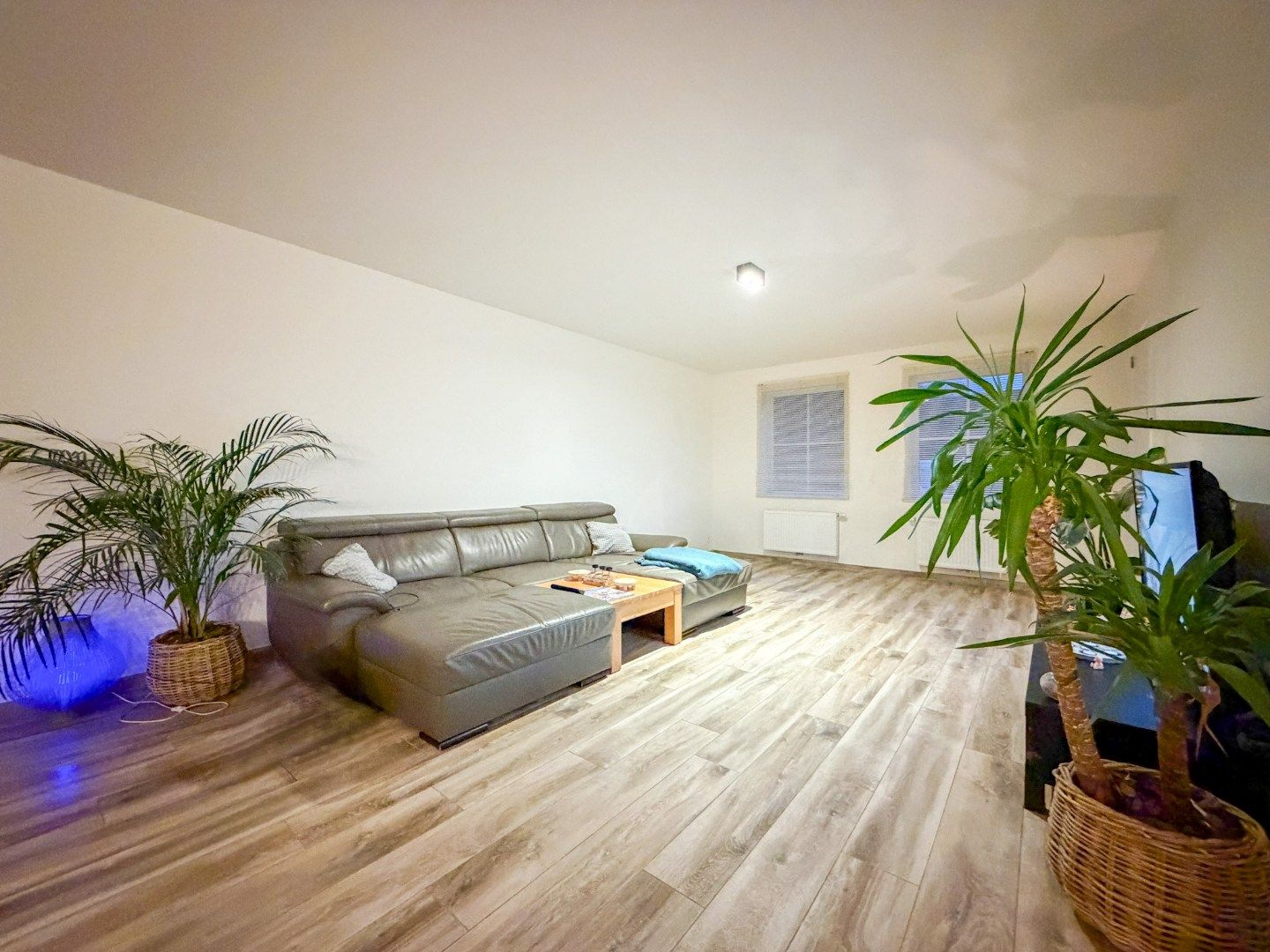 Recente woning, instapklaar en energiezuinig met 3 slpk, Roeselare/Ardooie. foto 4