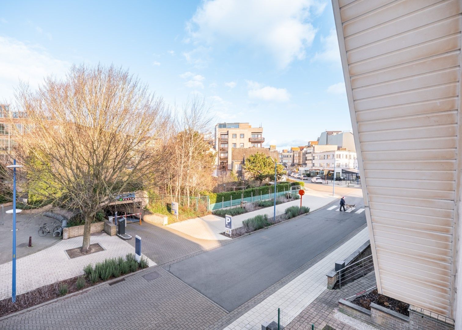 Vidoshi - 01.01 foto 7