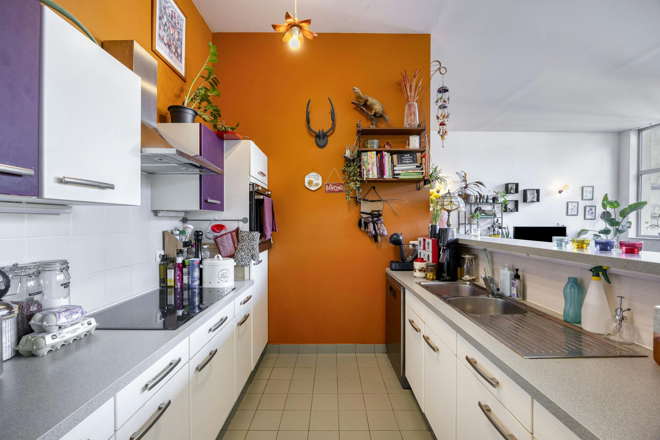 Lichtrijk appartement met bijgebouw in Ronse te koop foto 4
