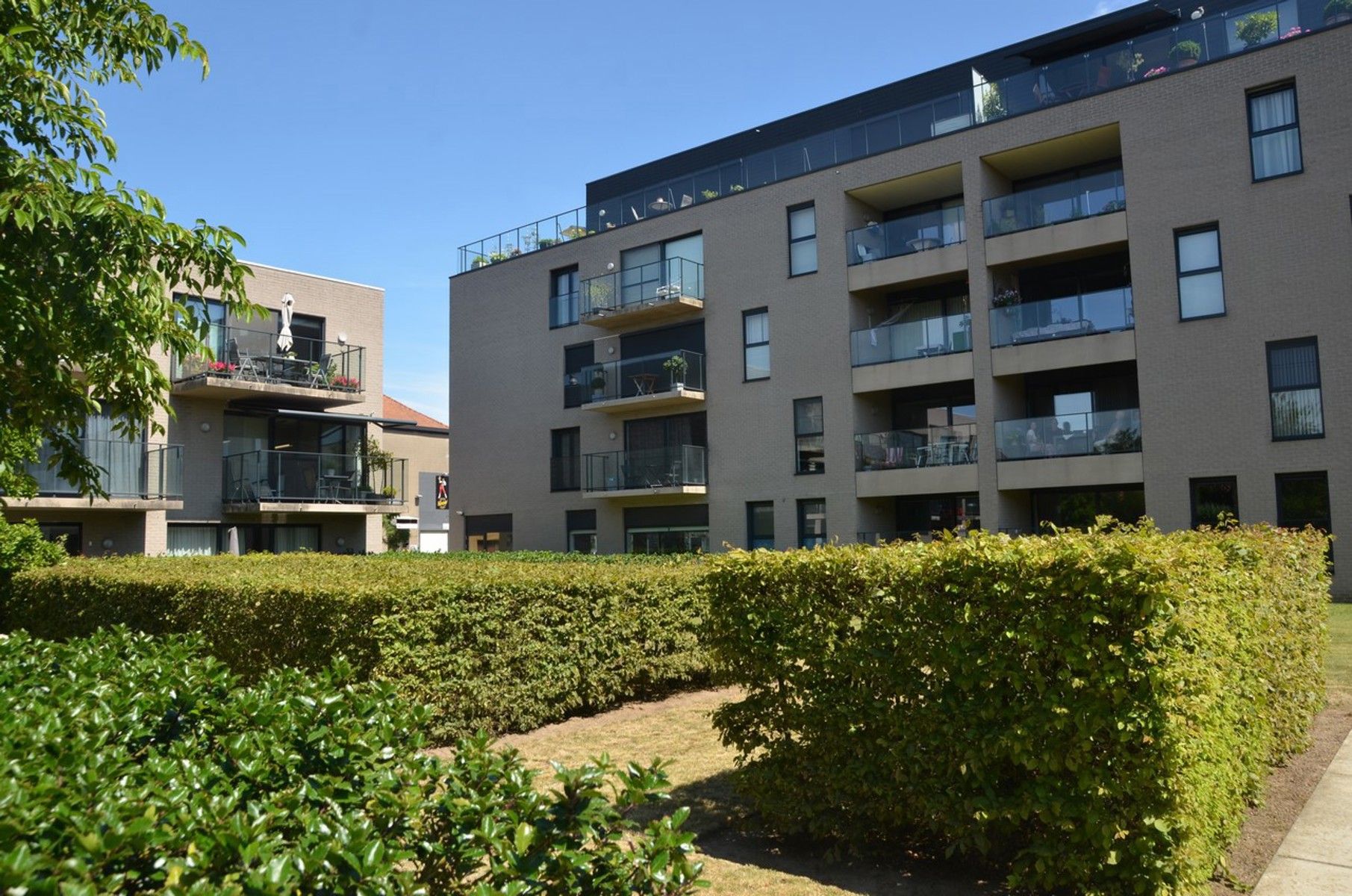 ()=>{if(producerUpdateValueVersion(node),producerAccessed(node),node.value===ERRORED)throw node.error;return node.value} Schuttersstraat 36/11 - 8500 Kortrijk