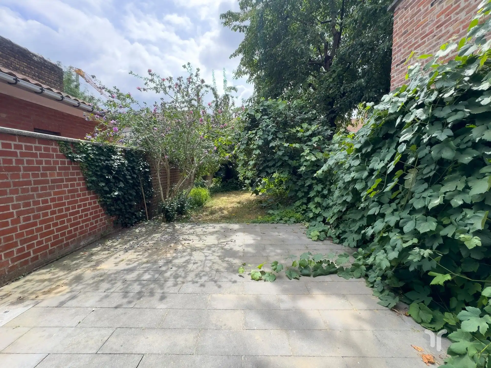 Instapklare gezinswoning met 3 slaapkamers. foto 13