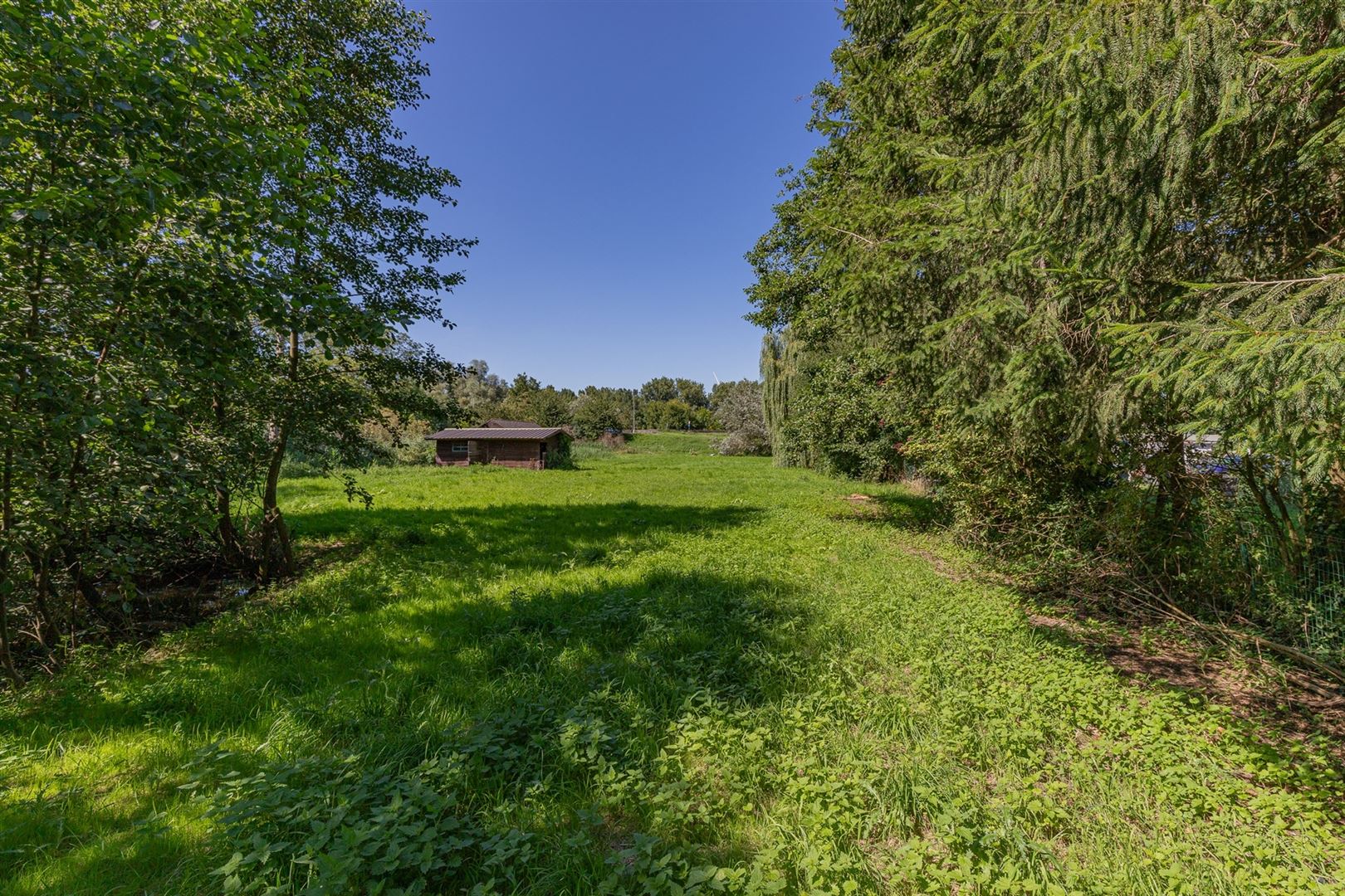 Exclusieve bouwgrond te koop Sint-Onolfsdijk, Dendermonde foto 14