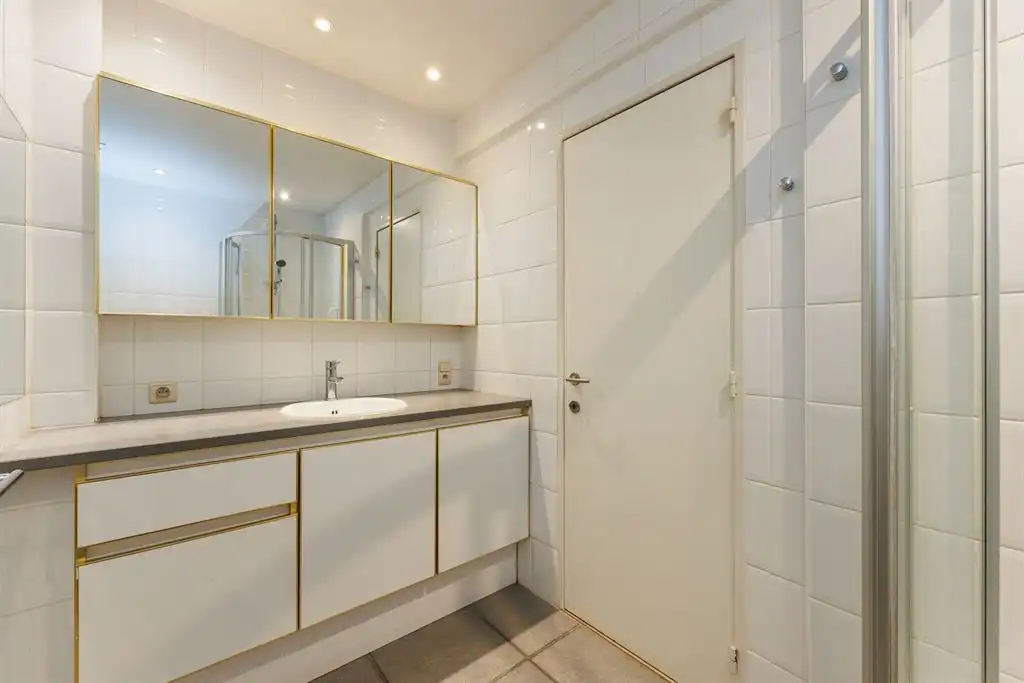 3-slpk appartement met ruim terras en autostaanplaats vlakbij Te Boelaerpark foto 20