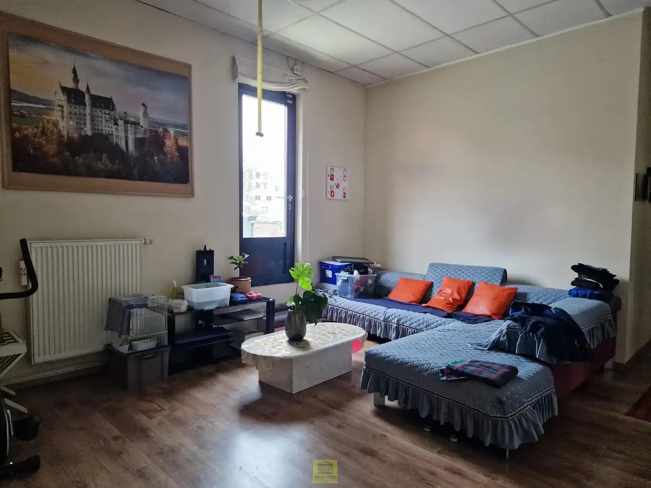 Uitzonderlijk ruim handelspand met woonst in Aalst – ideaal voor grootschalige retail foto 13