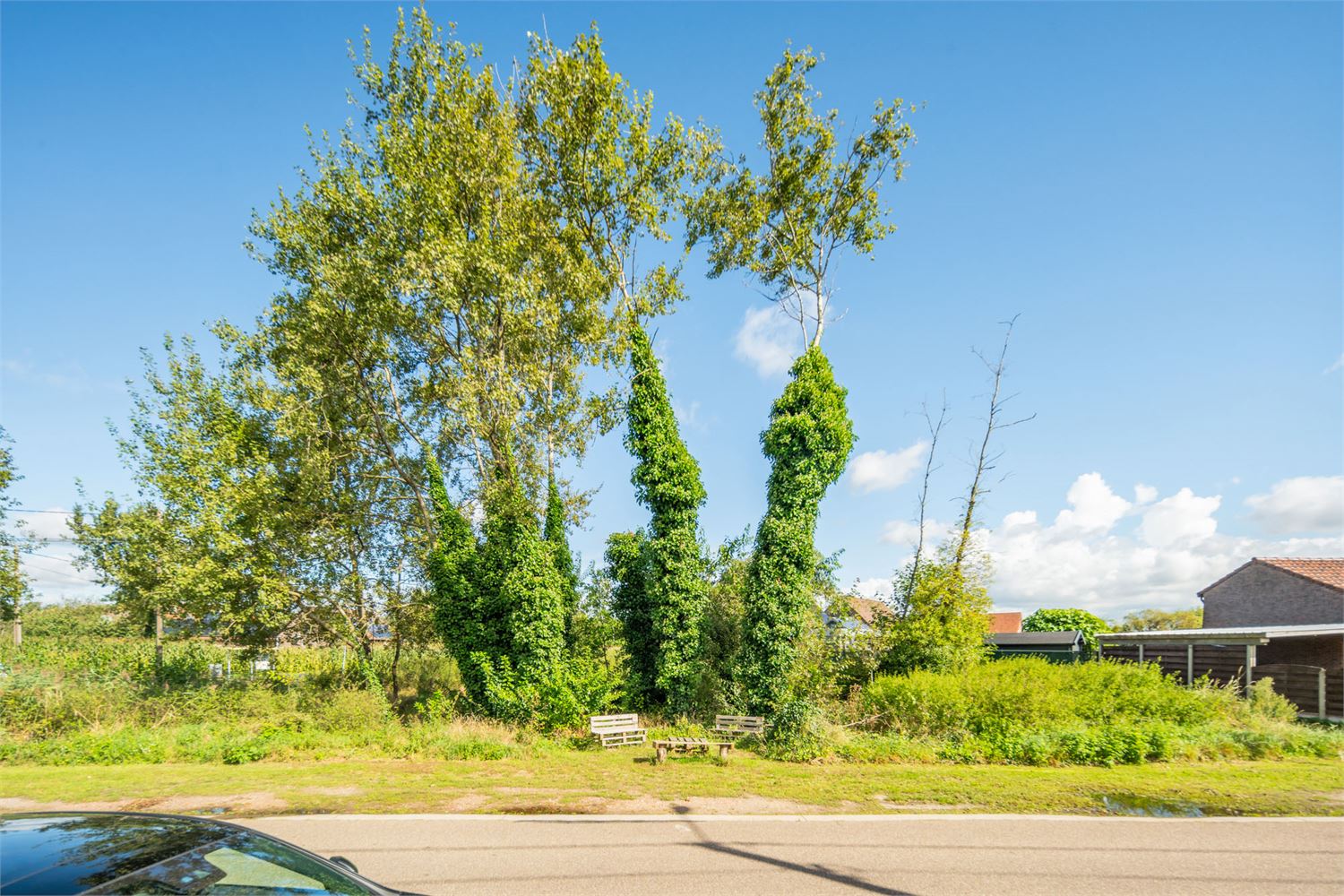 KNAPPE BOUWKAVEL (9A41CA) VOOR OPEN BEBOUWING OP TOPLOCATIE, IN HET RUSTIG GELEGEN HOLHEIDE (PELT)! foto 2