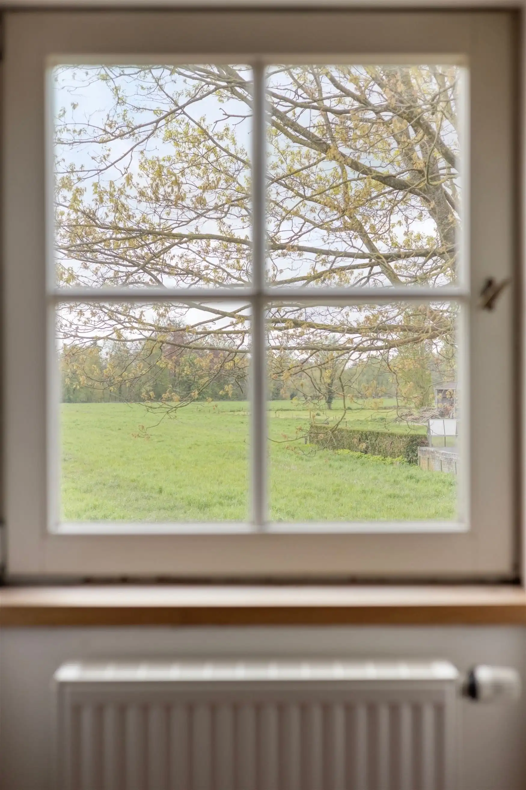 Uitzonderlijk charmante woning foto 12