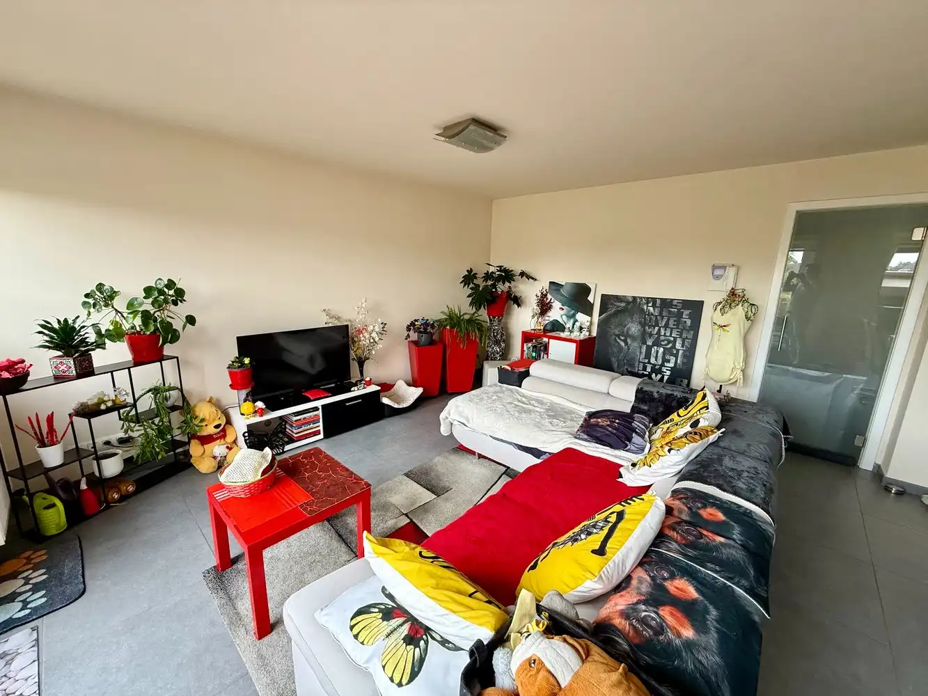 Ruim, energiezuinig appartement met 2 slaapkamers én garage! foto 3