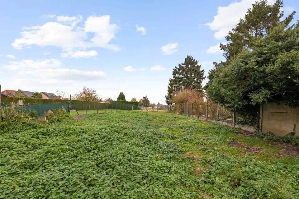 TE RENOVEREN WONING OP EEN PERCEEL VAN 14A57CA IN ZOUTLEEUW foto 23