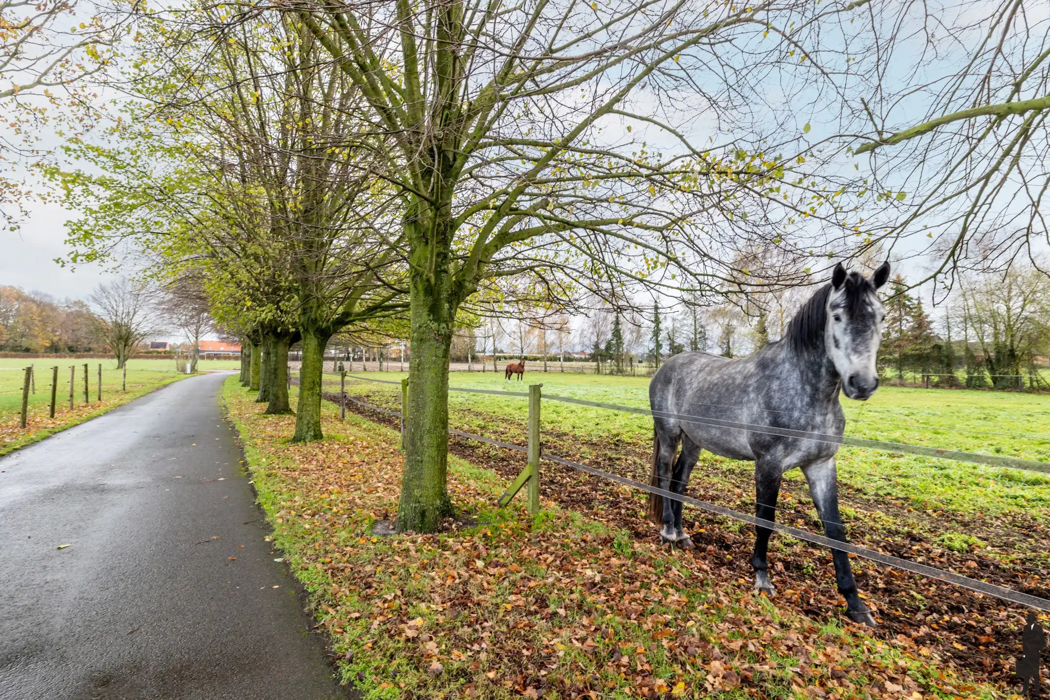 Instapklare villa temidden van uitgestrekte weilanden en landerijen!  foto 44