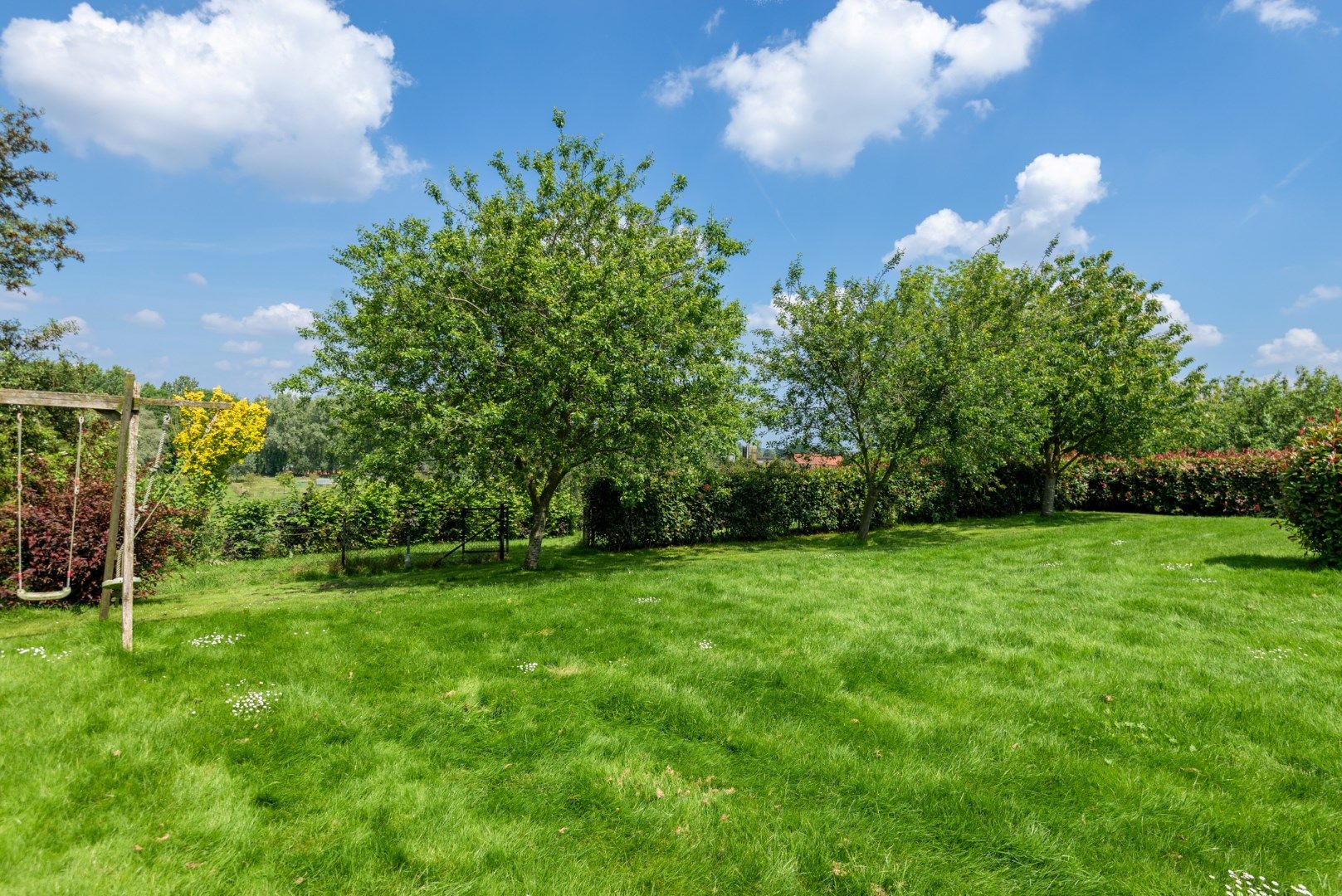 Zeldzaam! Landgoed 4035m² met quasi energie neutrale villa (322m²) te Opwijk foto 32