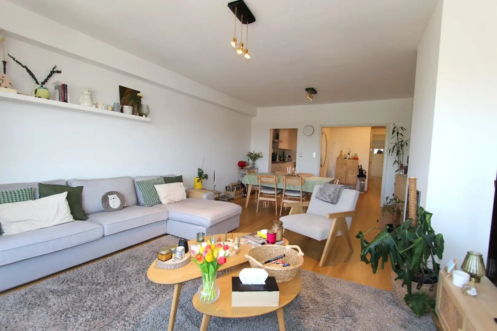 RUIM APPARTEMENT MET 3 SLAAPKAMERS foto 3