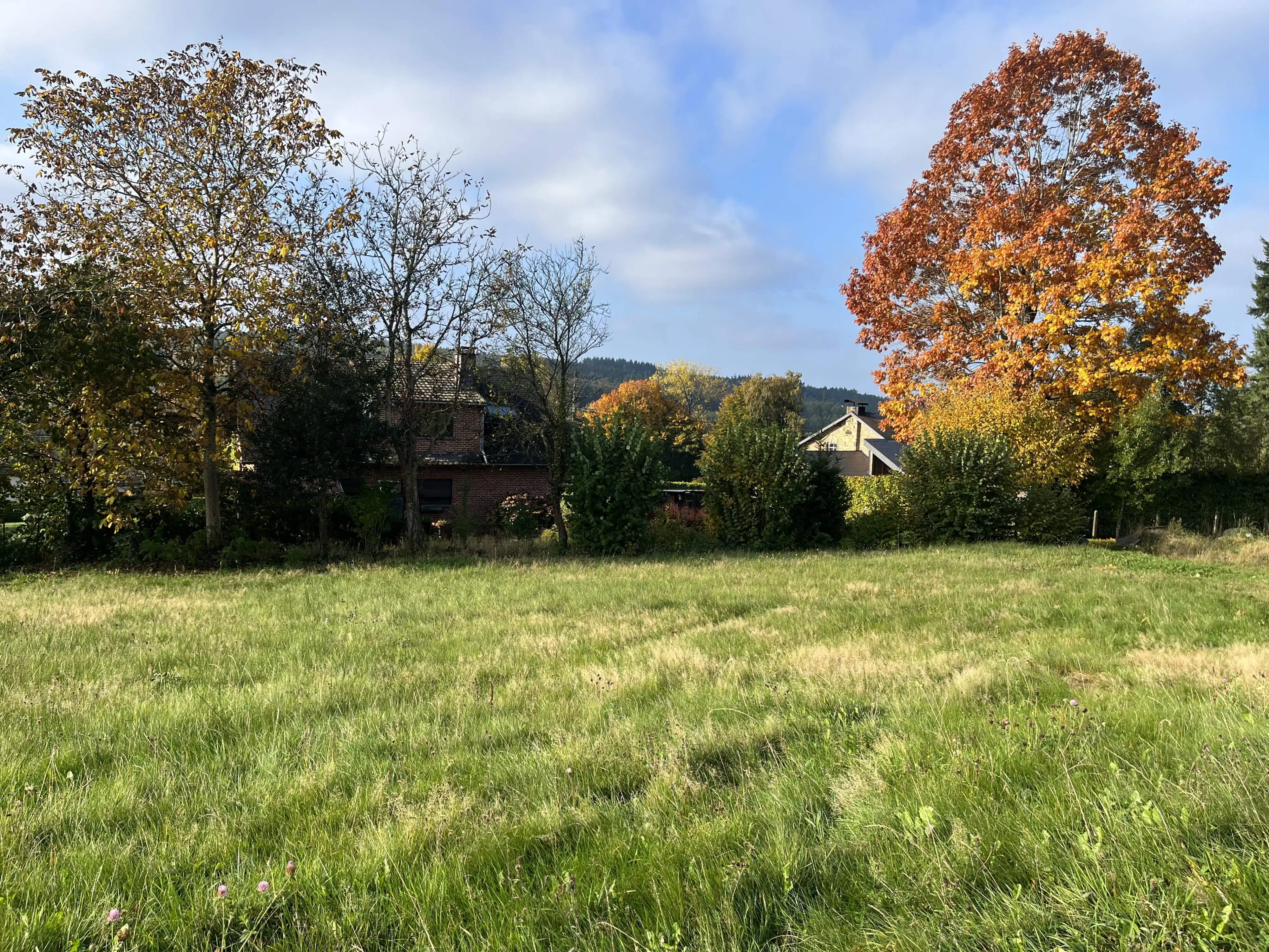 Uniek perceel bouwgrond te koop te Vesqueville foto 7