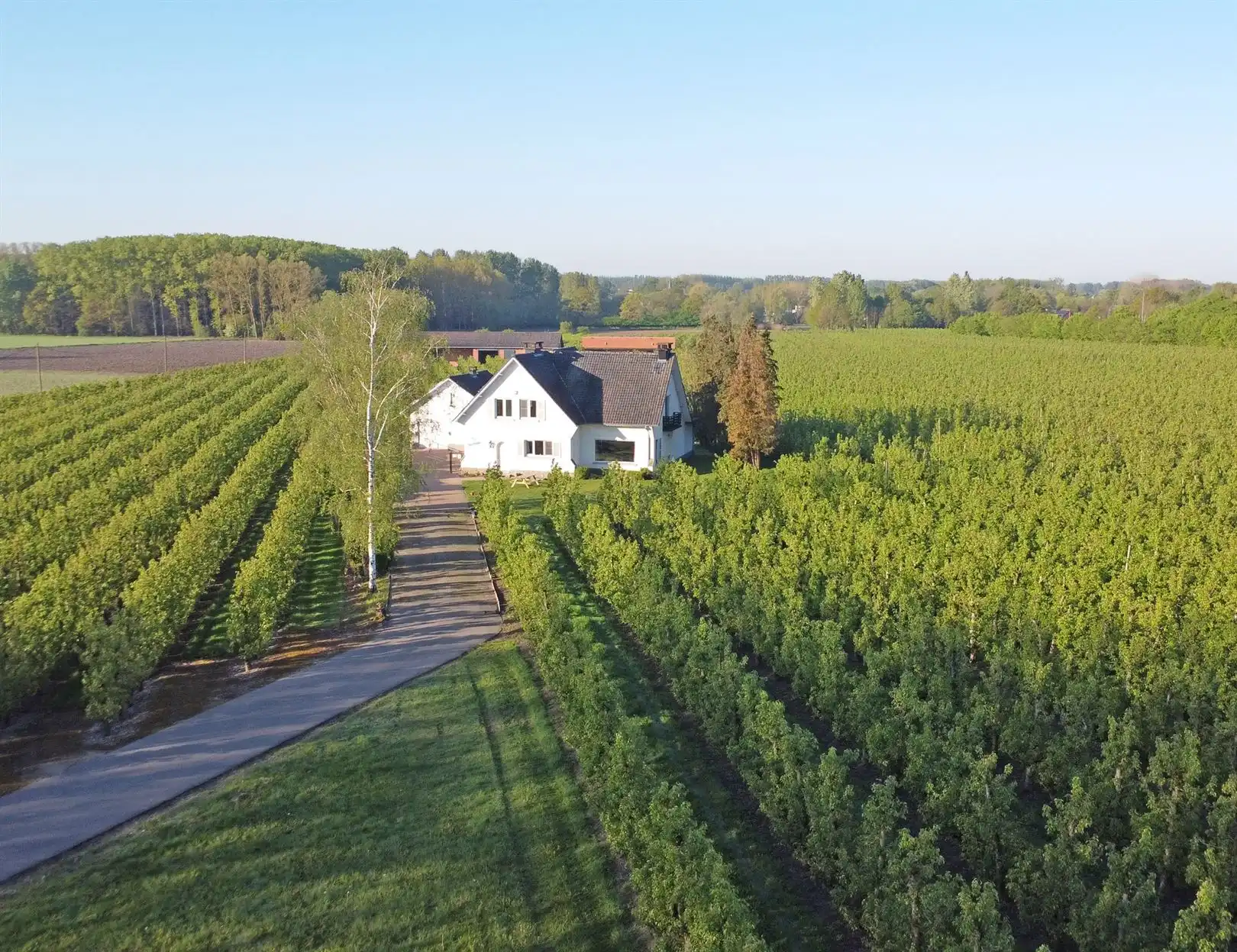 Villa te koop 3500 HASSELT