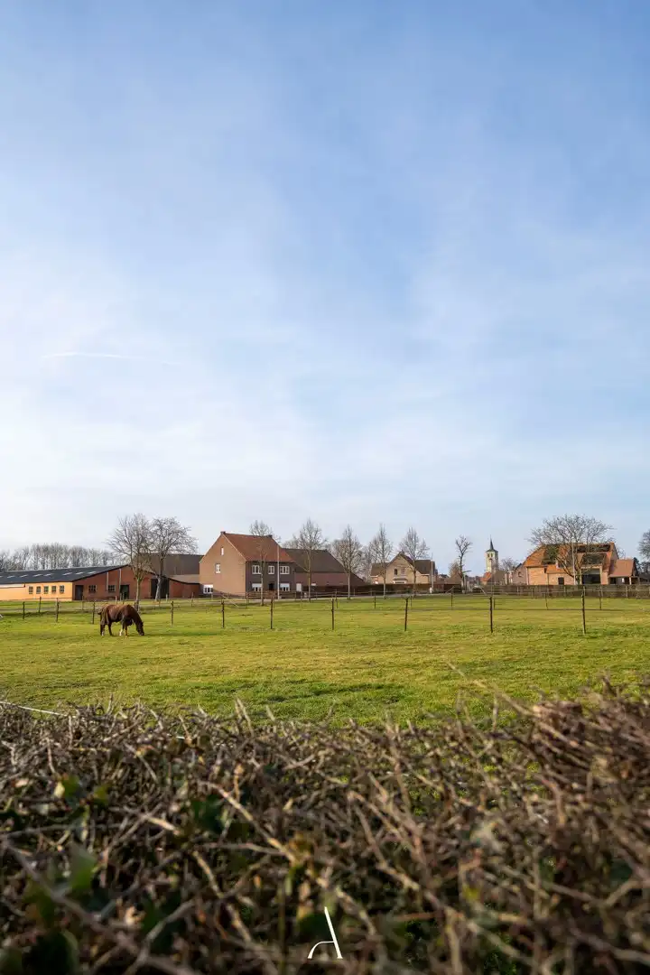 Landelijk wonen met volwaardige paardenaccommodatie op 7.929 m² in Tongerlo (Bree) foto 29