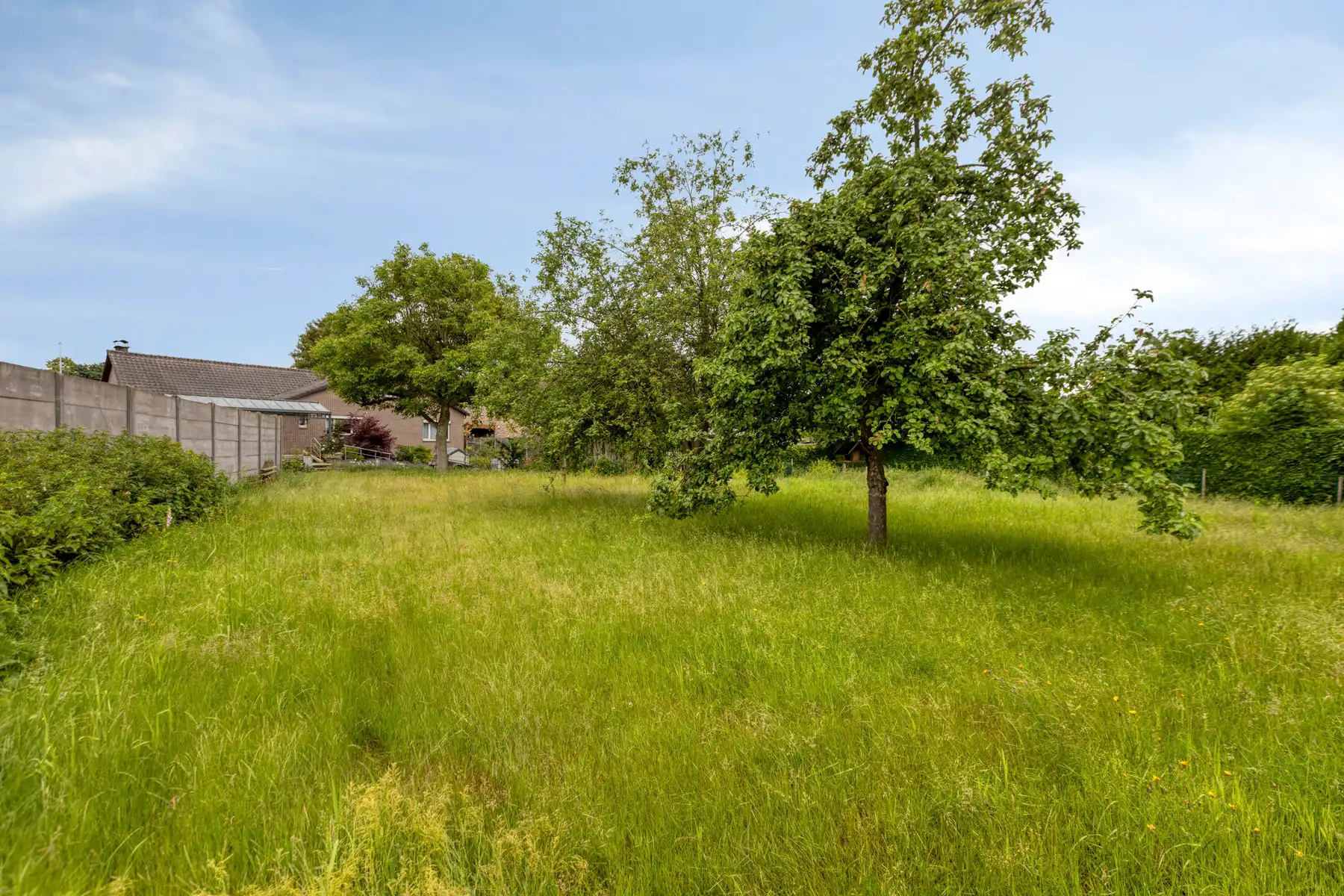 Vrijstaande woning met uitzonderlijke grote tuin in dorpskern Geistingen (Kinrooi) foto 23