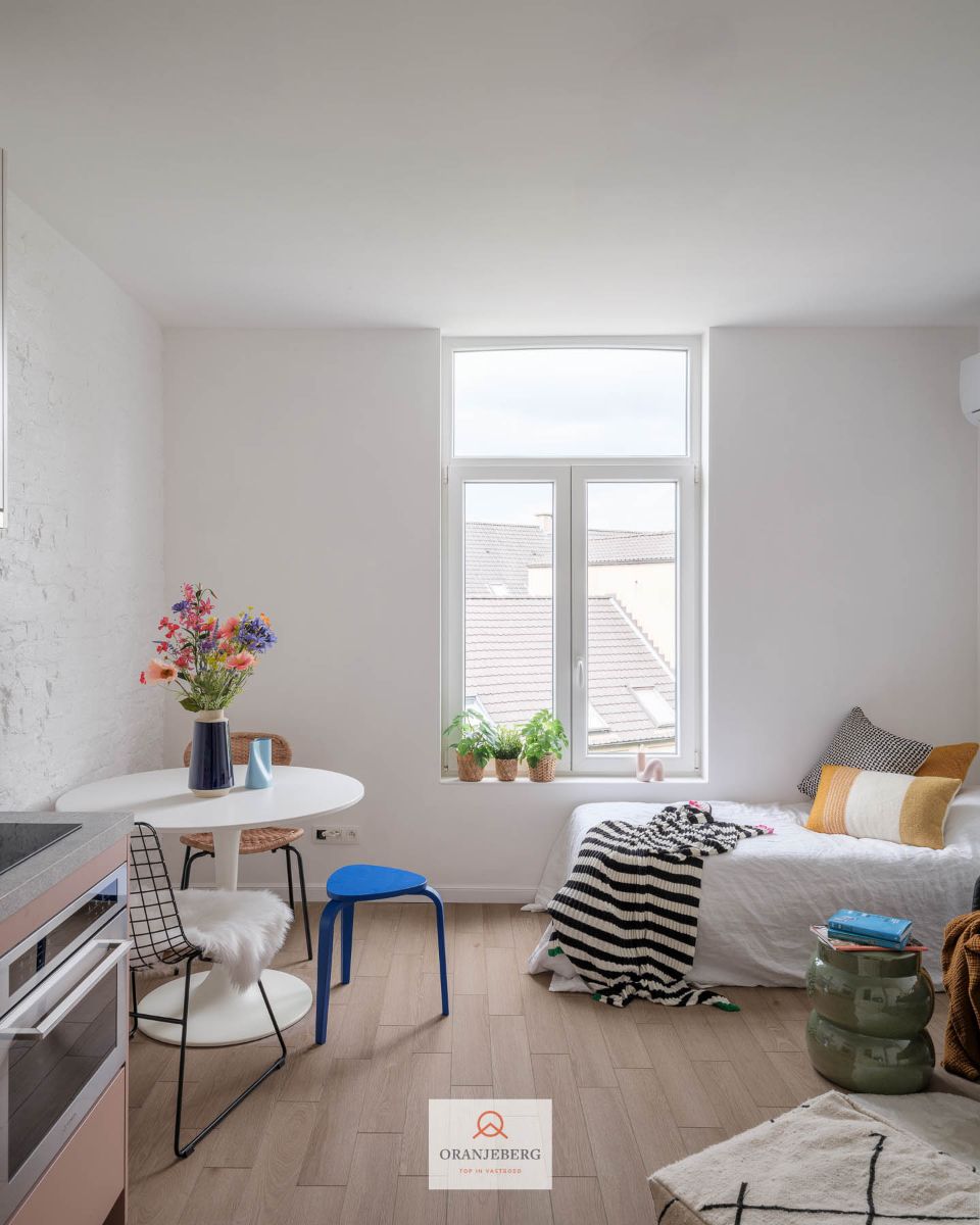 Lichtrijke gerenoveerde studio te koop vlakbij centrum Gent foto 6