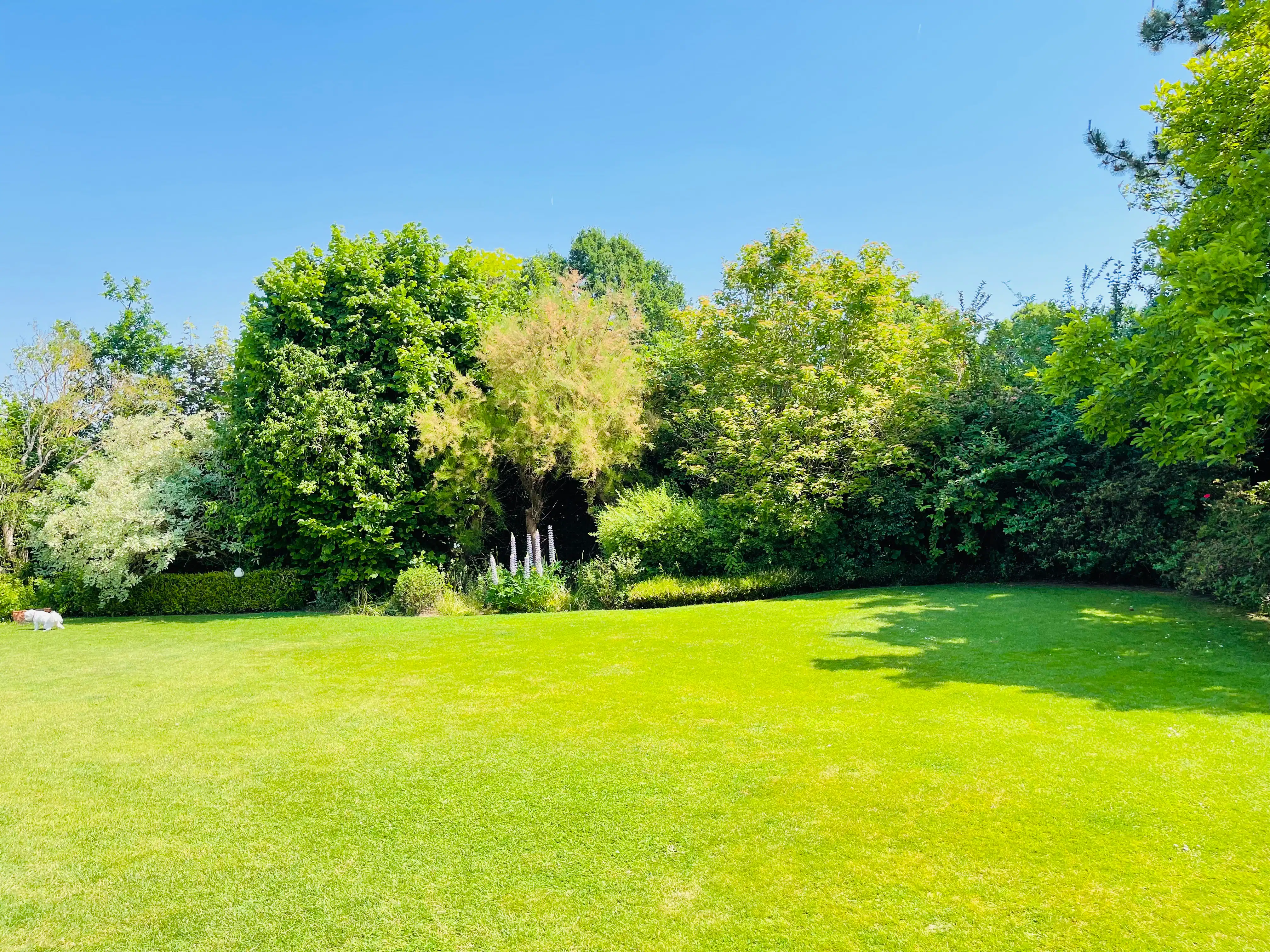 CHARMANTE VILLA MET ICONISCHE SEVENTIES–EIGHTIES SOUL foto 24