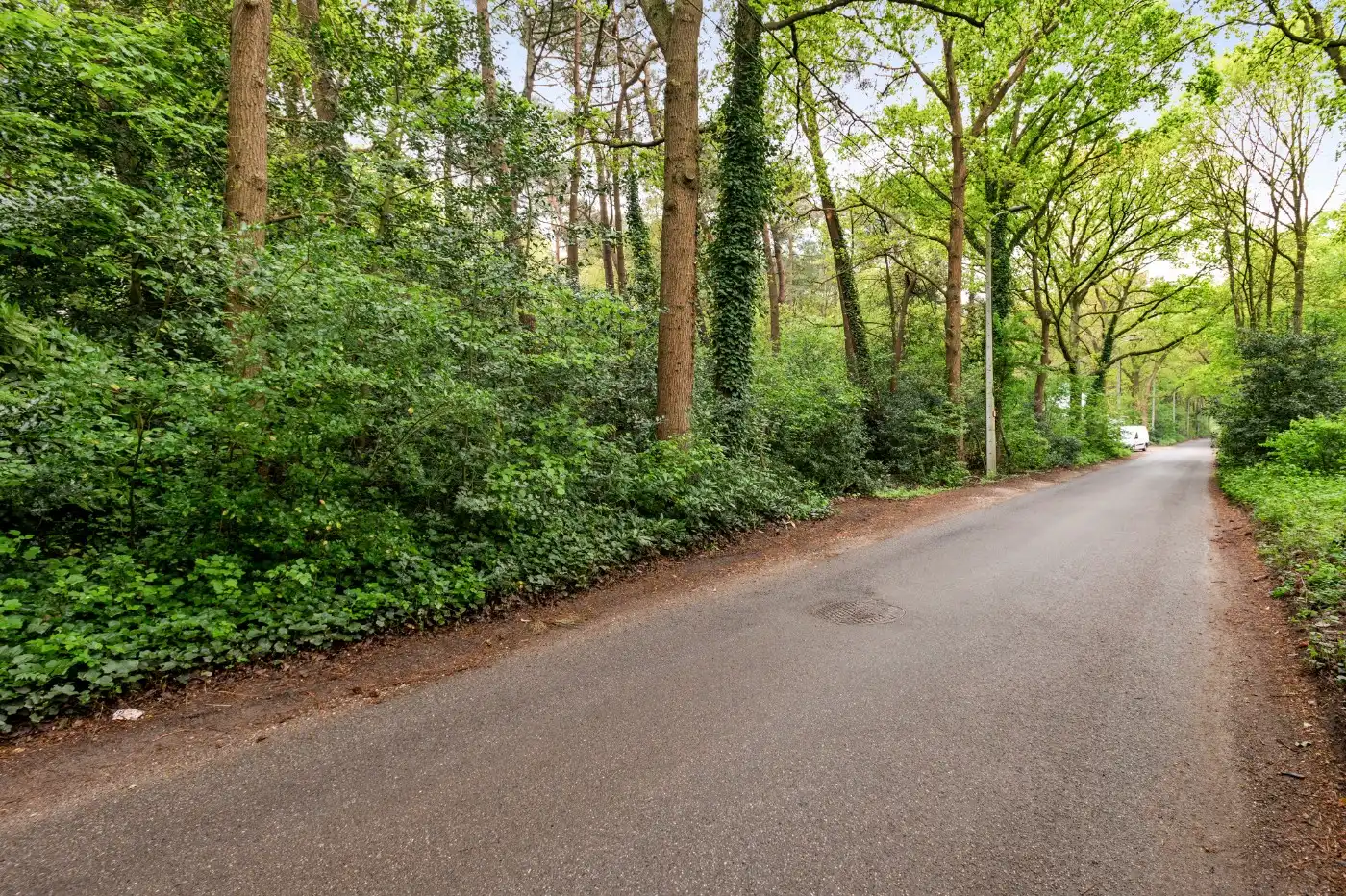 Perceel bosgrond van 1.000m² foto 3