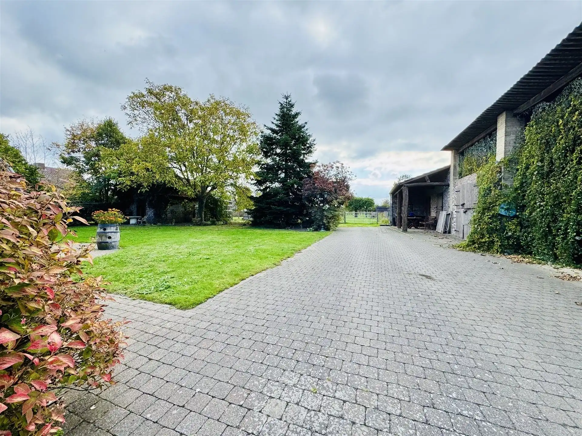 Hoeve met paardenaccomodatie. foto 49