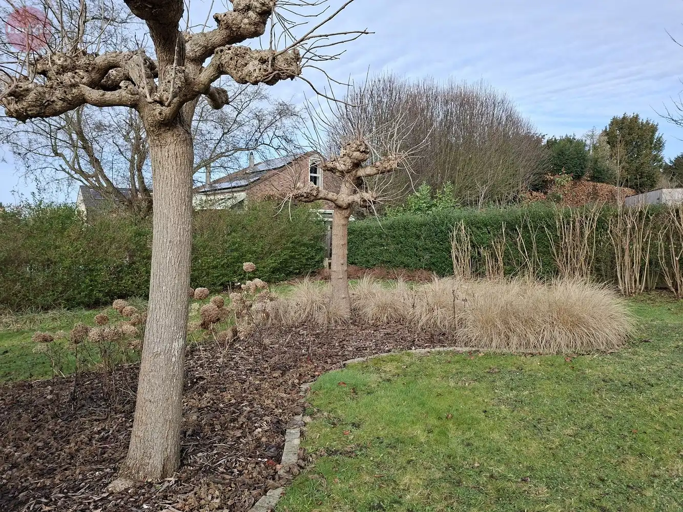 Instapklare gelijkvloerse woning / 3 slpkms / garage / tuin / stadsrand foto 26