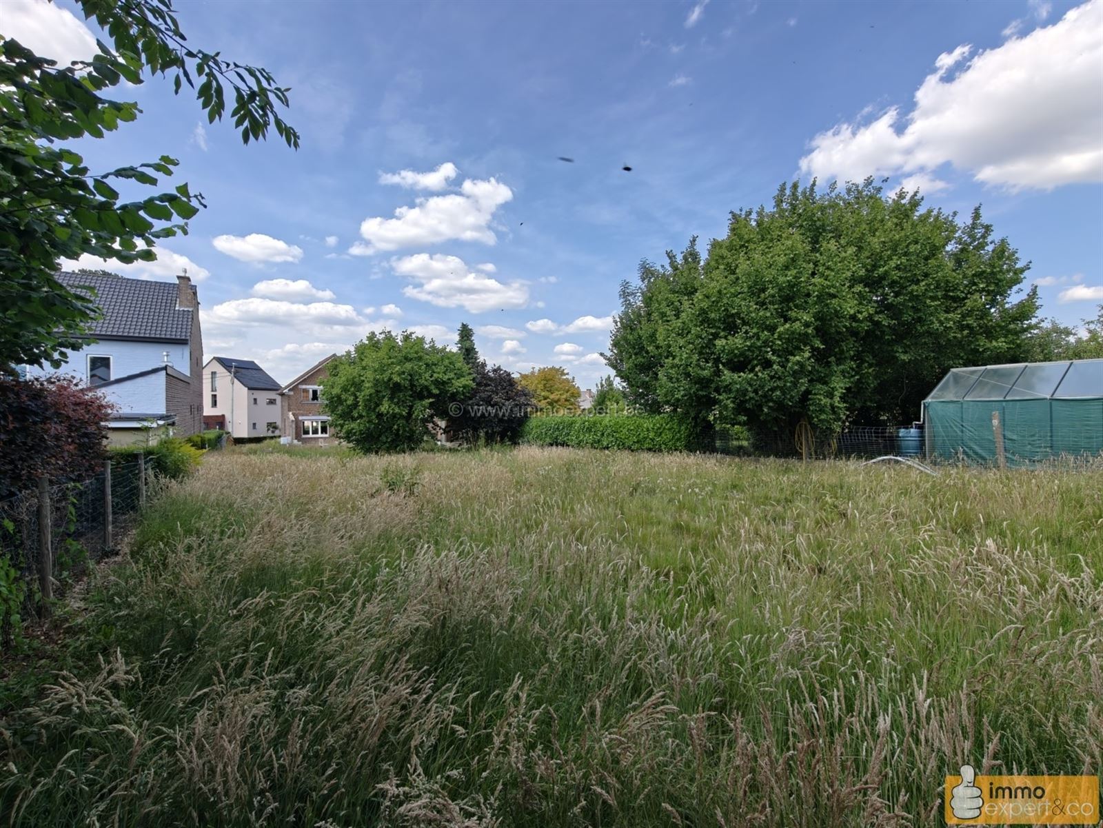 BORCHTLOMBEEK: Te renoveren woning op mooi perceel foto 12
