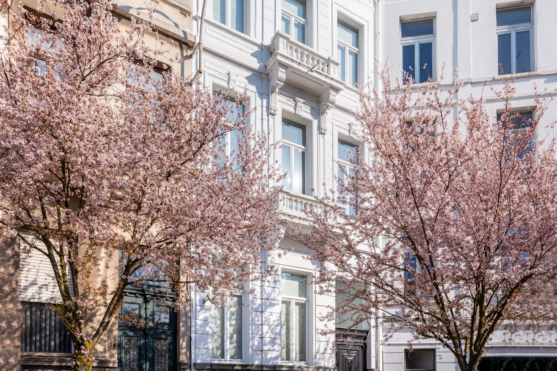 Riante herenwoning met tuin en wellness, hartje ’t Zuid foto 3
