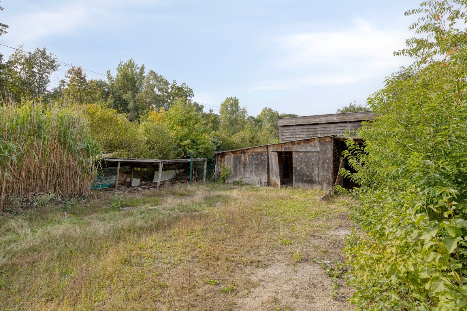 Gunstig gelegen te renoveren woning op mooi perceel van 16a07ca ! foto 29