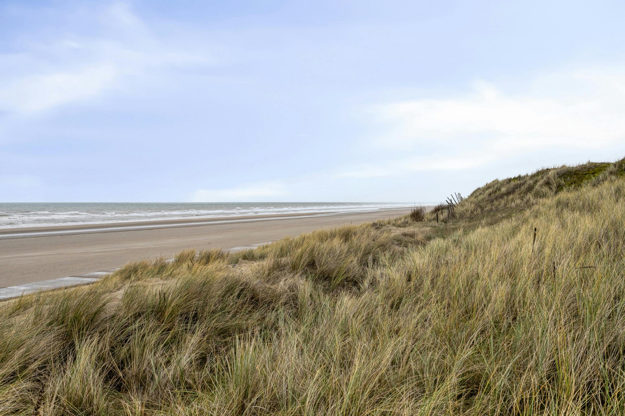 Gerenoveerd appartement met 1 slaapkamer en terras in De Panne foto 11