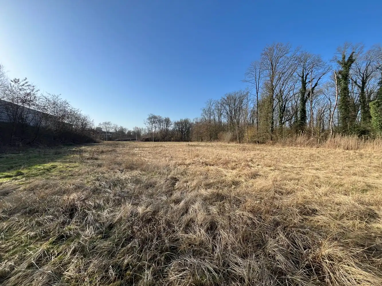 tot 3000m² op maat gebouwd foto 4