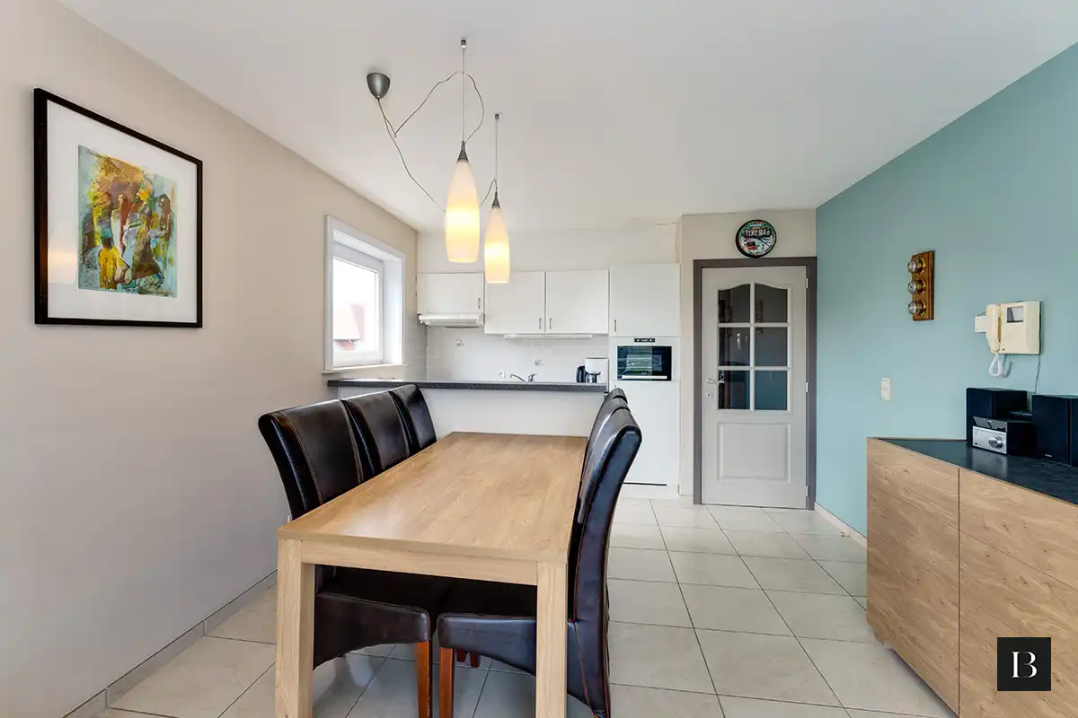 Zuidgericht 2-slaapkamerappartement met terras, dicht bij het centrum foto 6