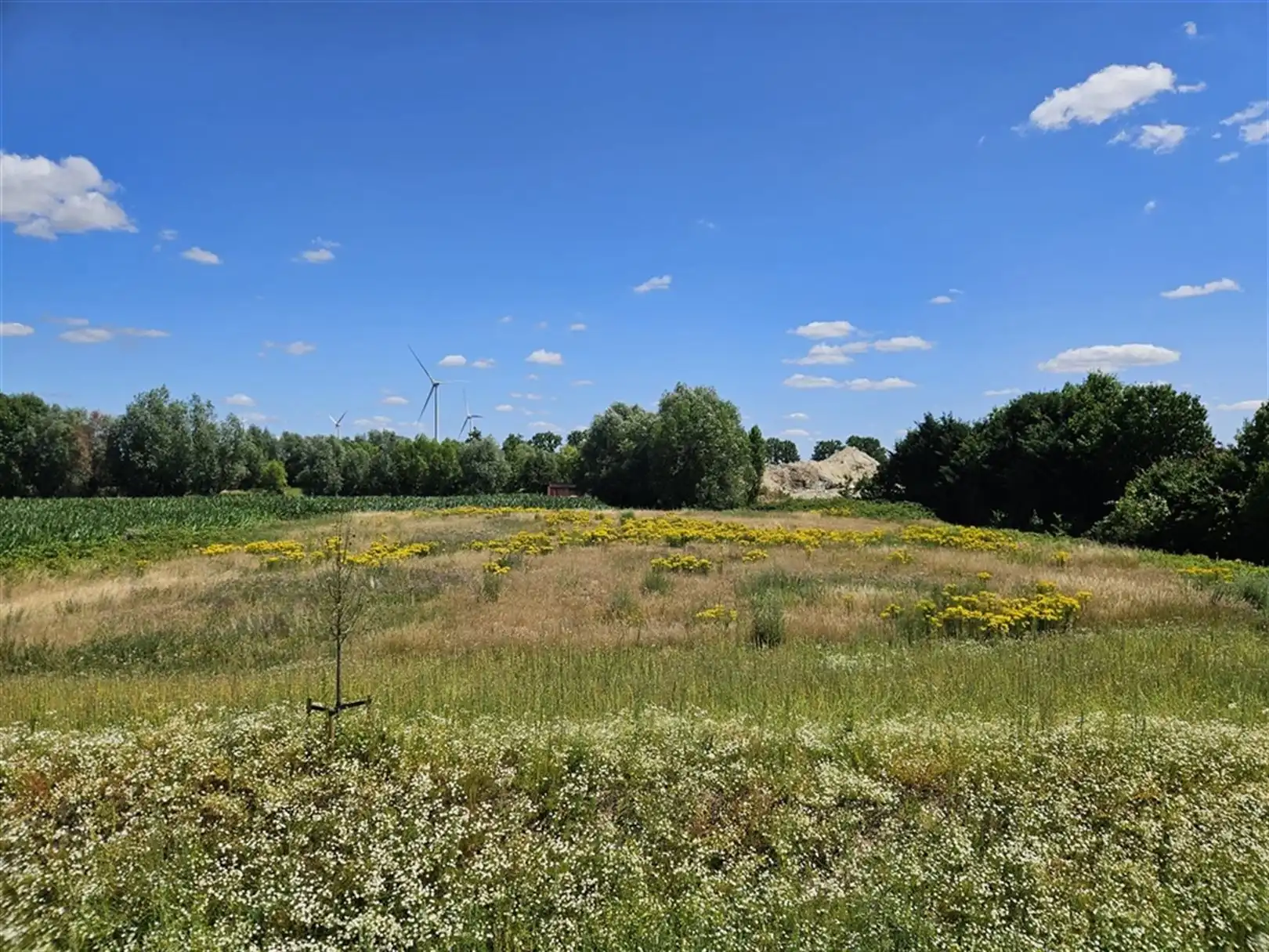 Nieuwbouw KMO op Heermees Green Business Park te Evergem foto 9