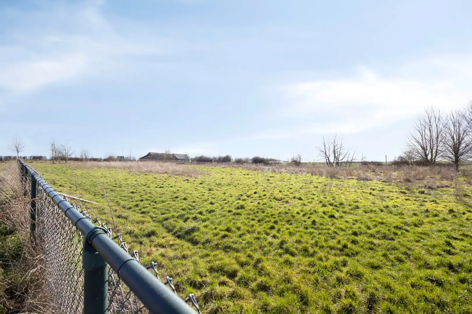 Landelijk gelegen hoevewoning met stallen en omheinde weide op totaal 88a66ca  foto 27