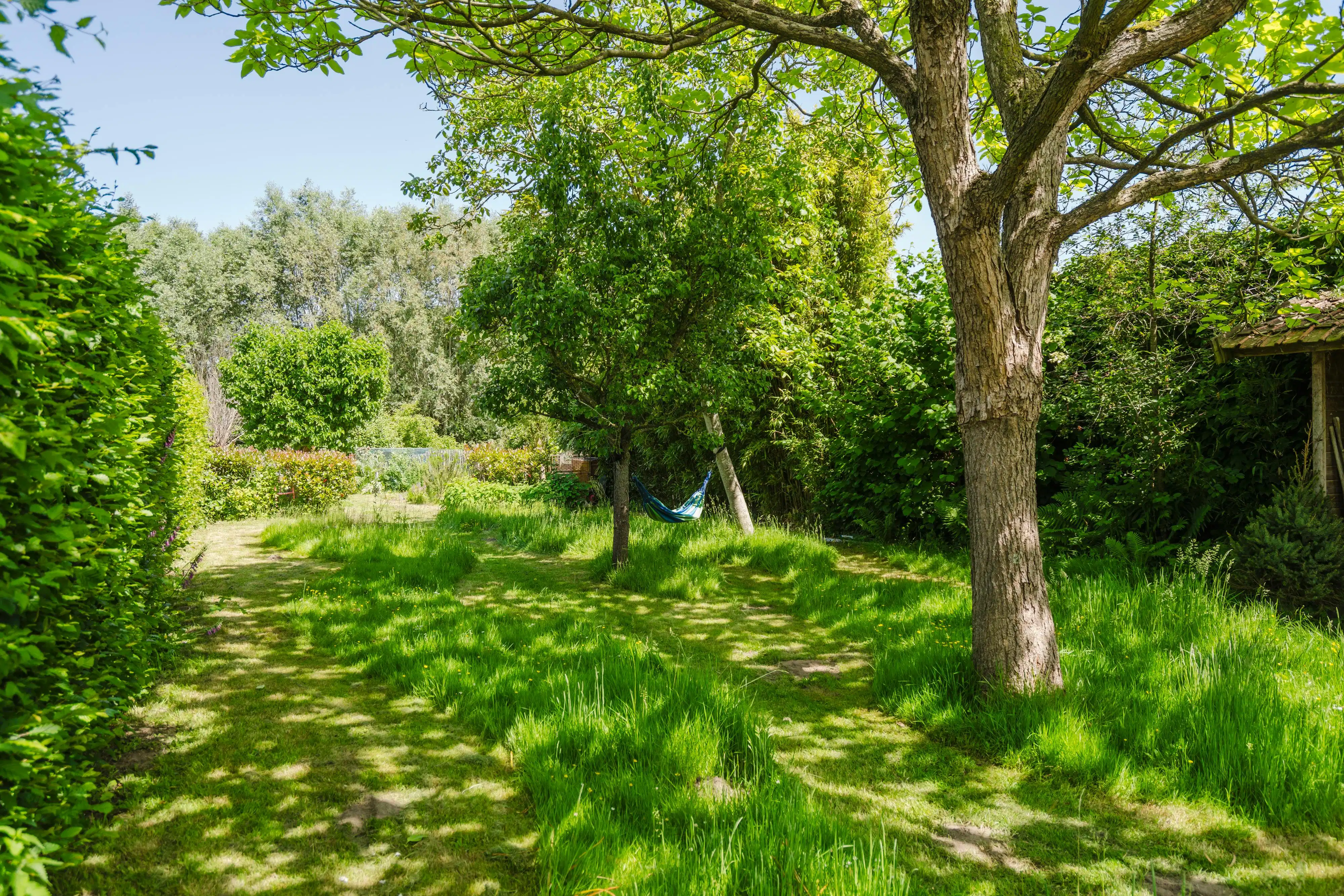 Unieke eigendom met veel mogelijkheden te koop in Olsene foto 31